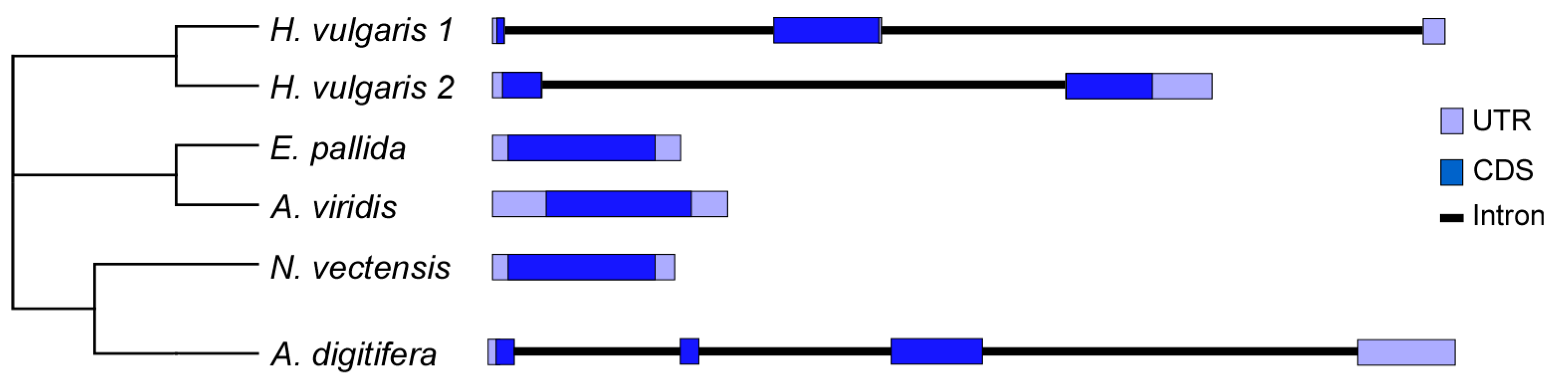 Genes 09 00030 g002 Genes 09 00030 g002