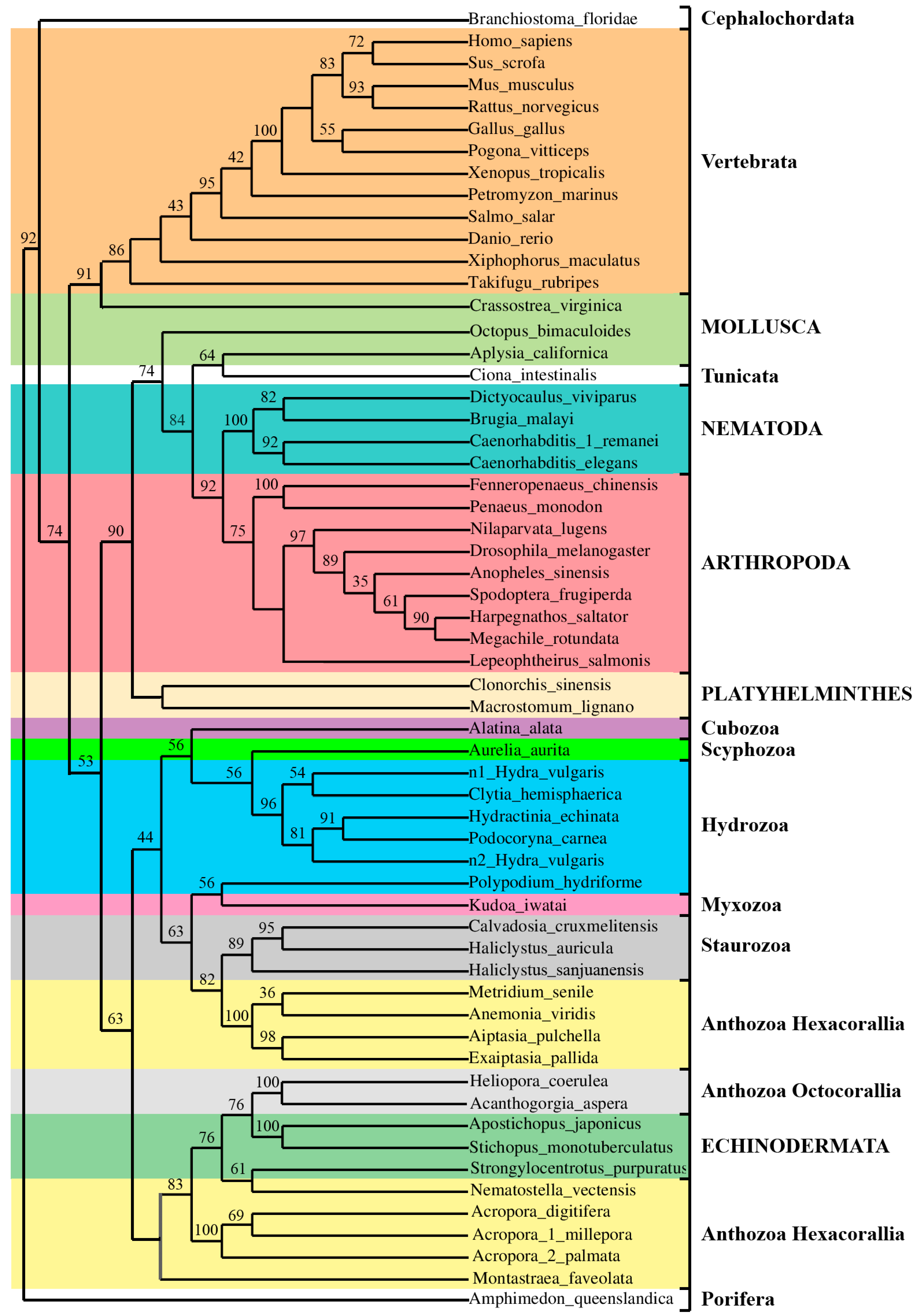 Genes 09 00030 g006 Genes 09 00030 g006
