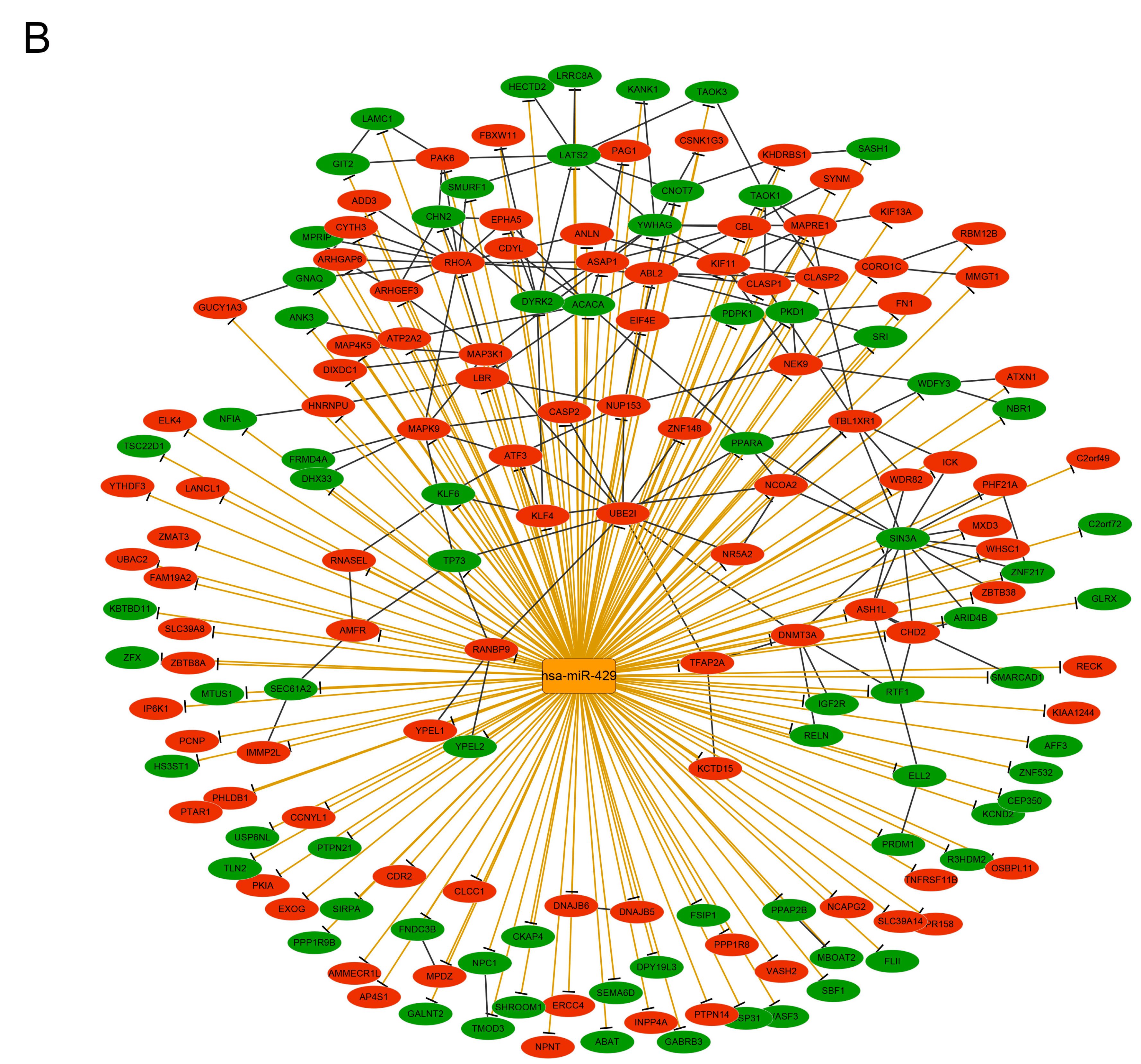 Genes 09 00032 g002b Genes 09 00032 g002b