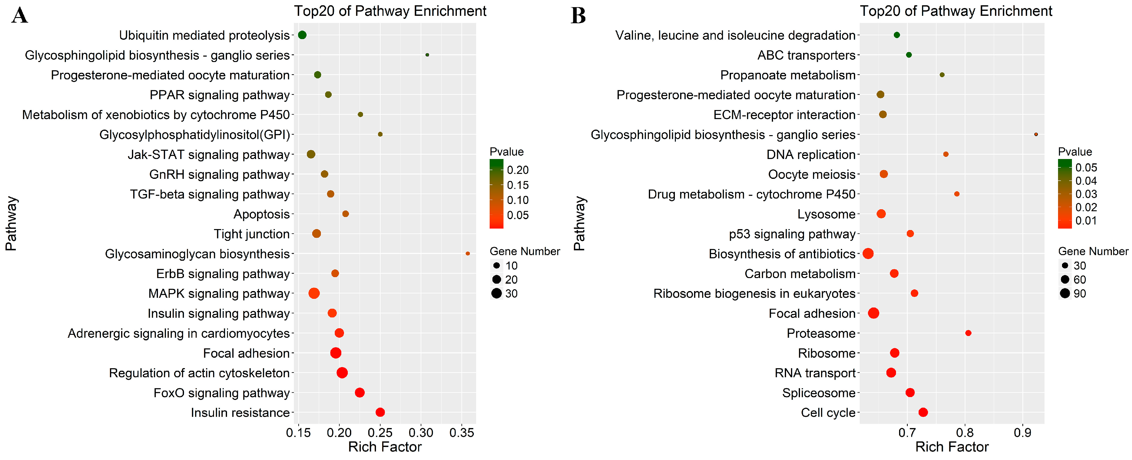 Genes 09 00034 g003 Genes 09 00034 g003