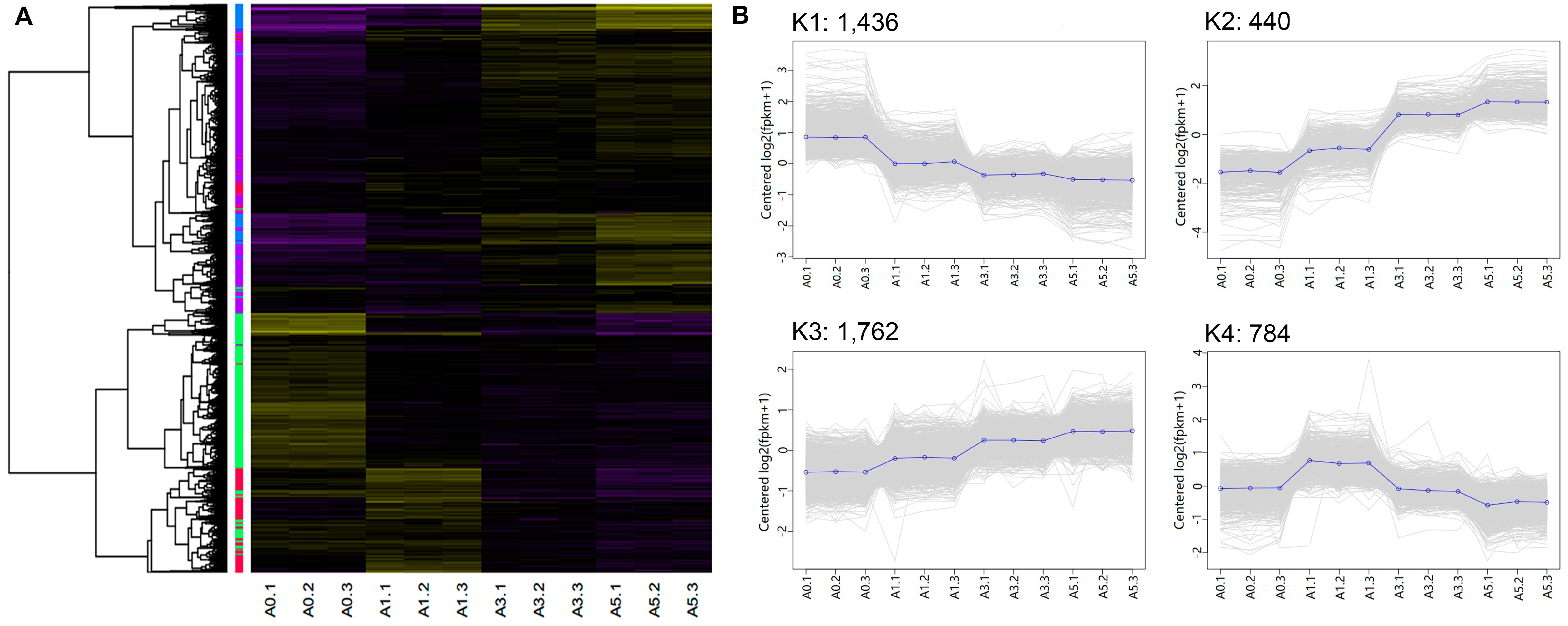 Genes 09 00034 g005 Genes 09 00034 g005