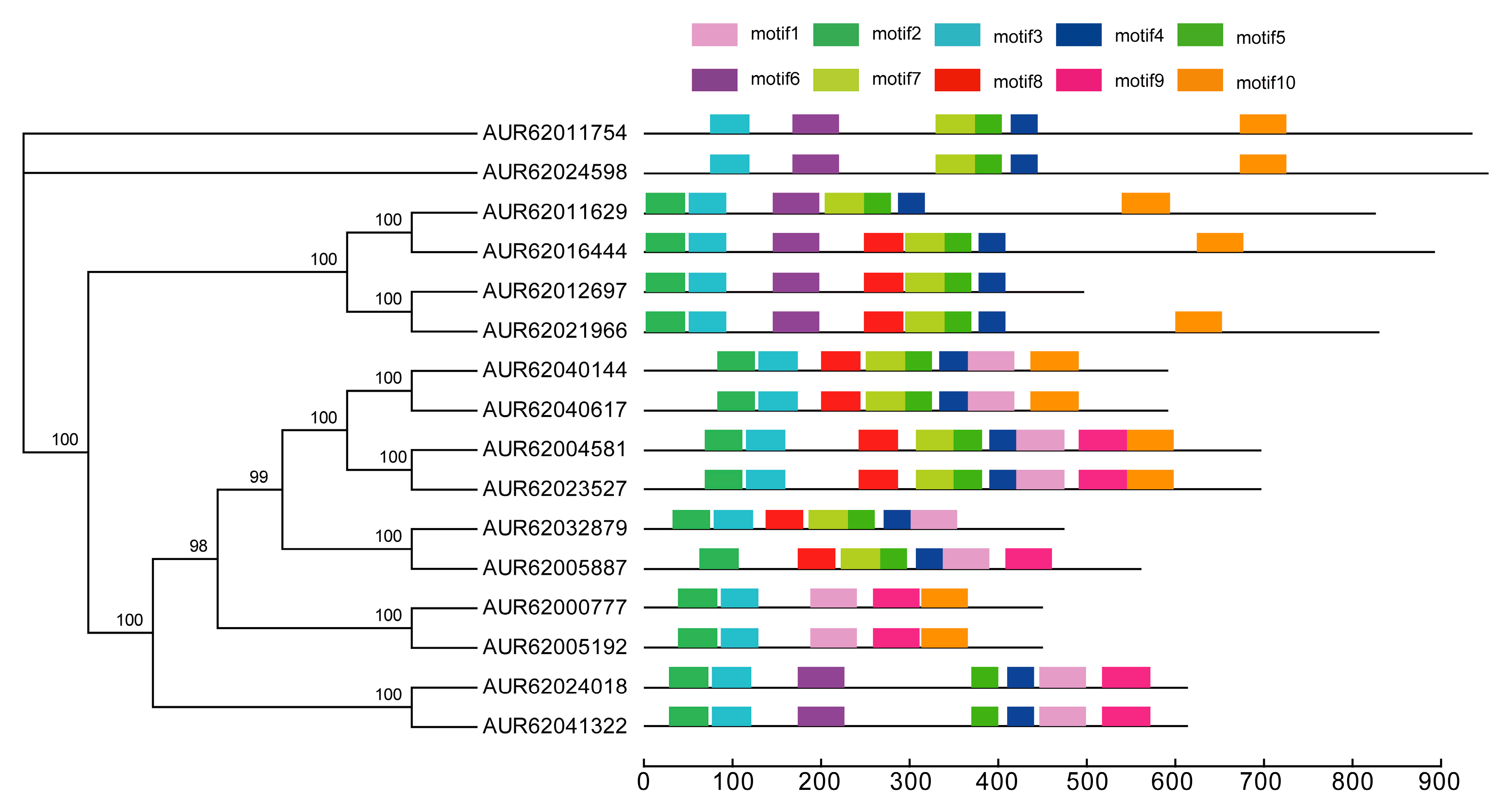 Genes 09 00035 g003 Genes 09 00035 g003