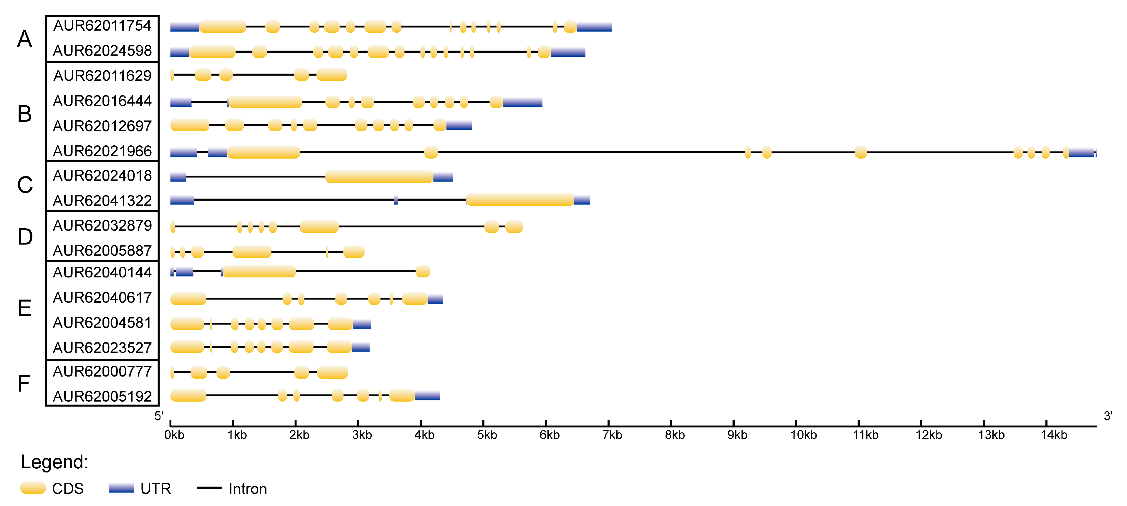 Genes 09 00035 g004 Genes 09 00035 g004
