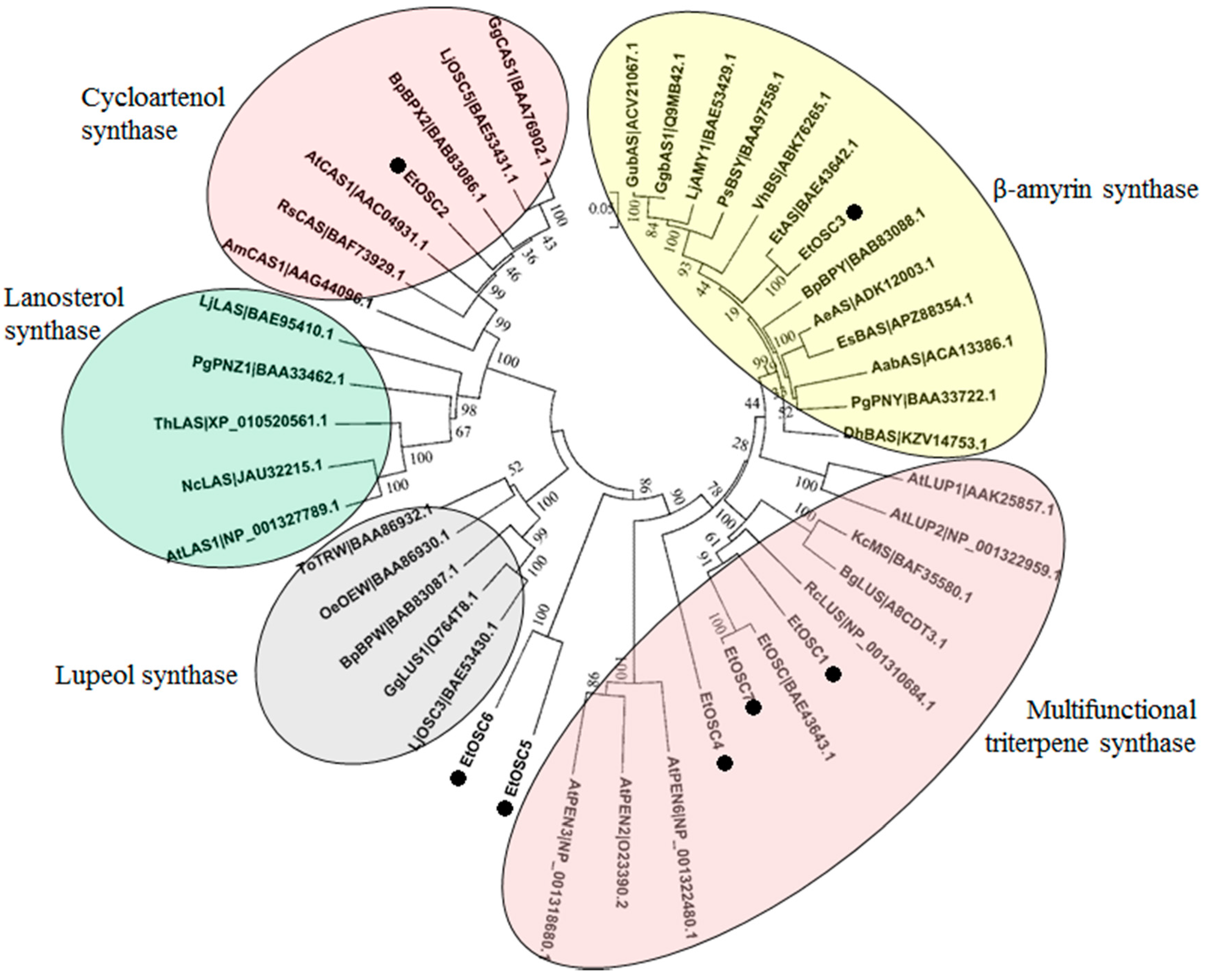 Genes 09 00038 g005