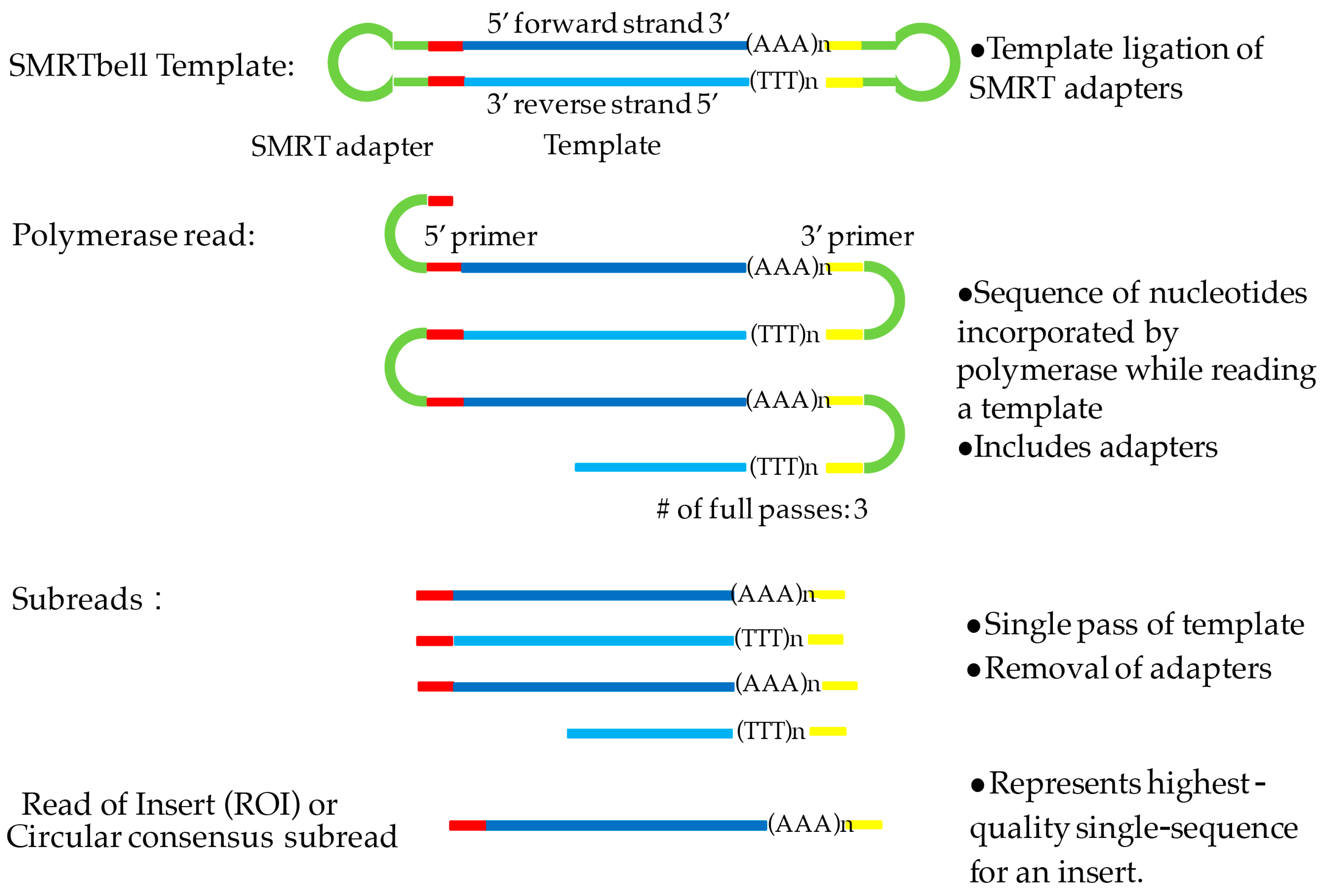 Genes 09 00043 g001 Genes 09 00043 g001
