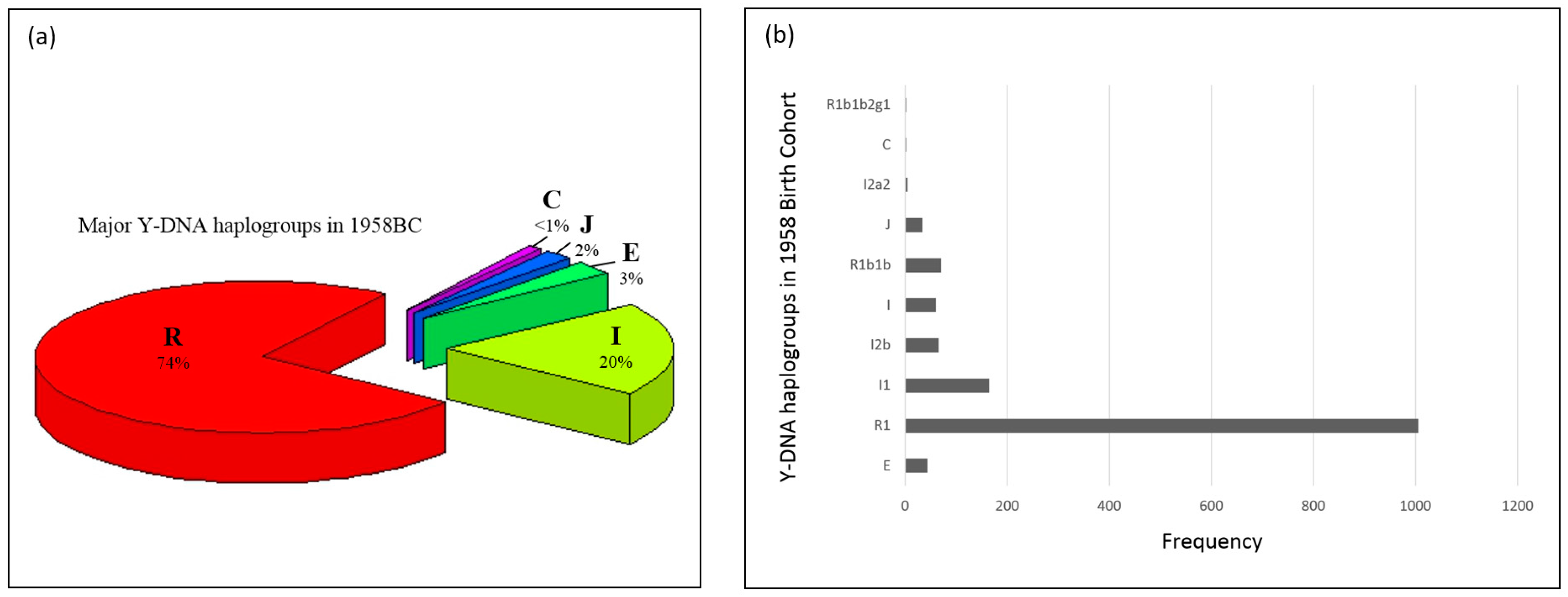 Genes 09 00045 g002 550