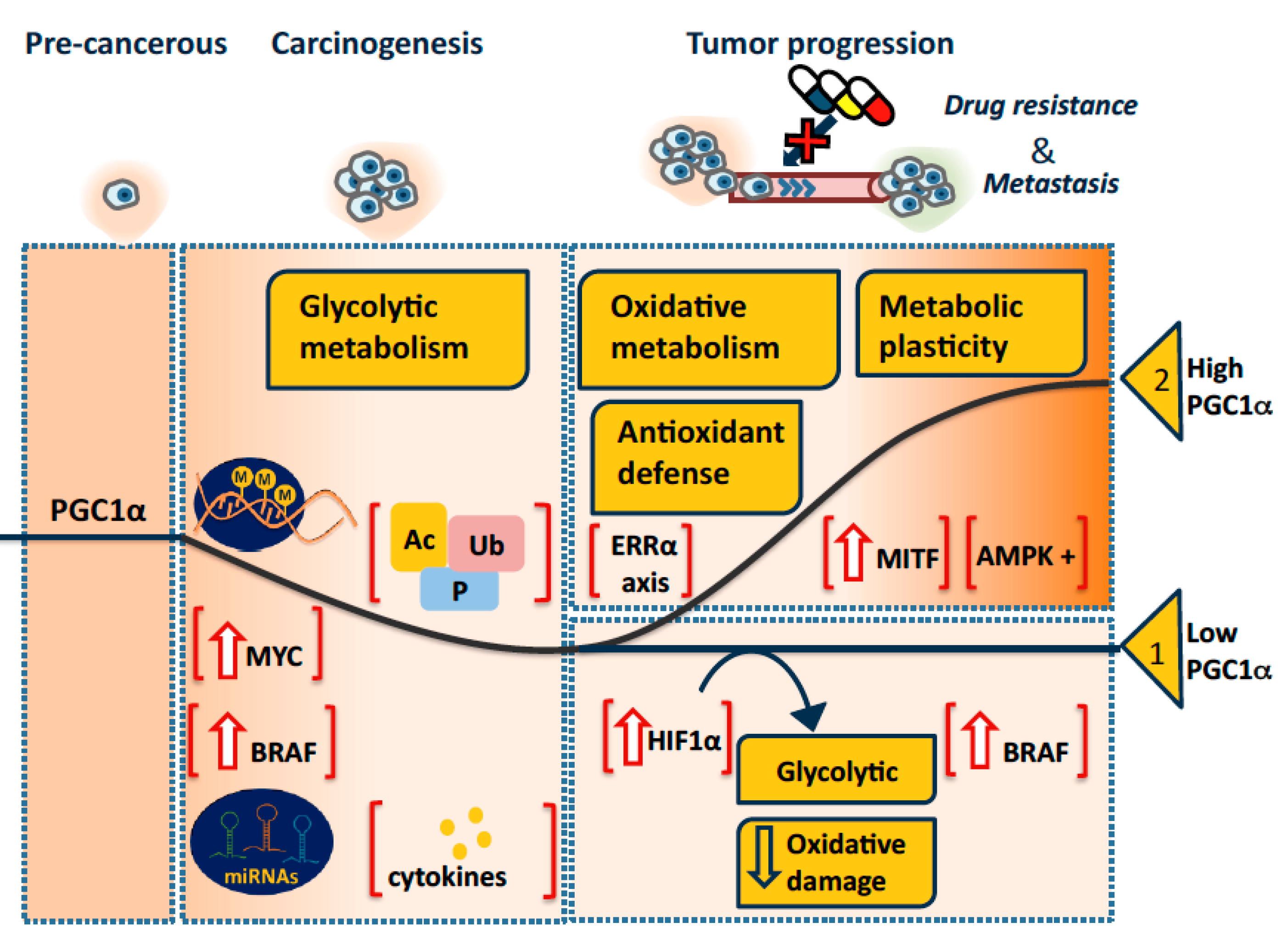 Genes 09 00048 g002