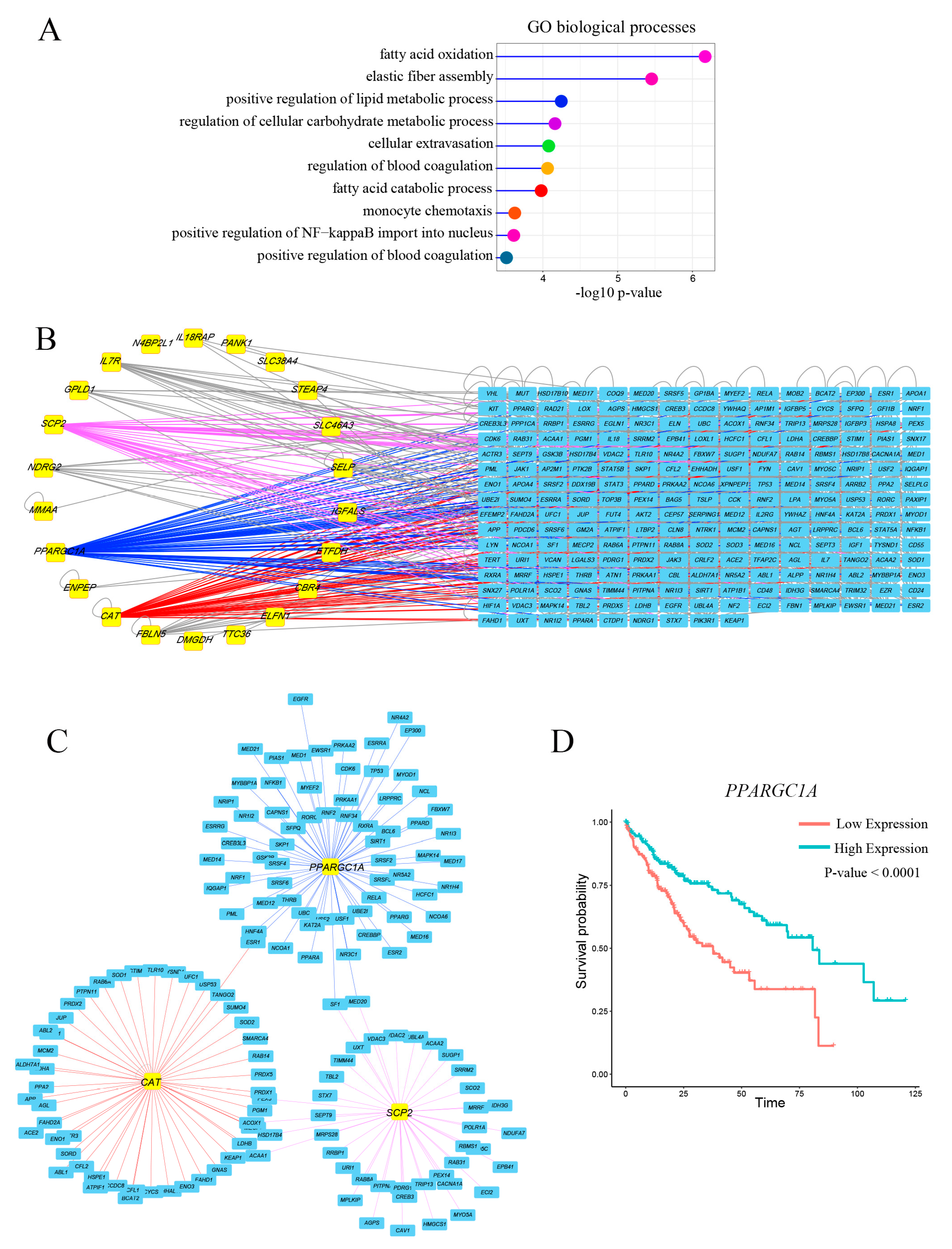 Genes 09 00051 g002 550