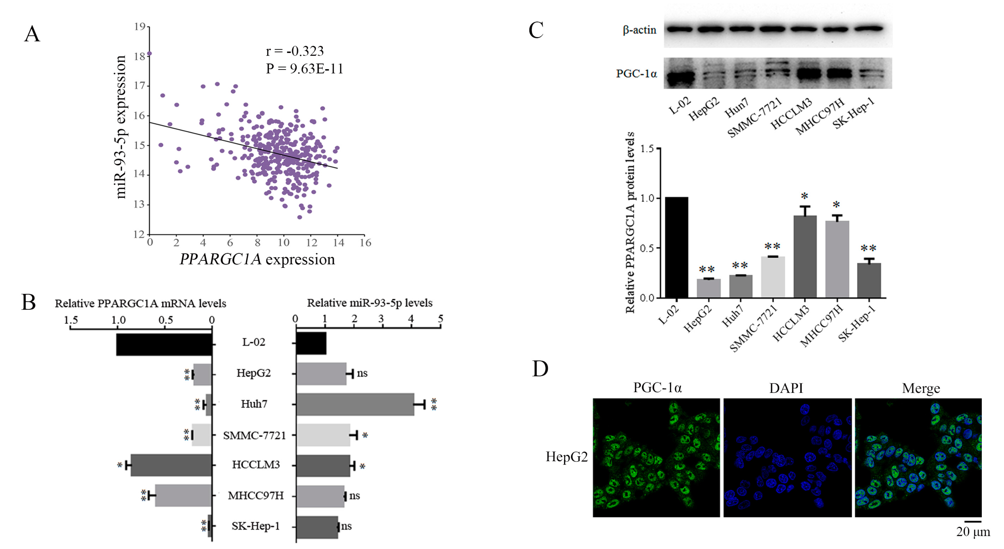 Genes 09 00051 g003 550