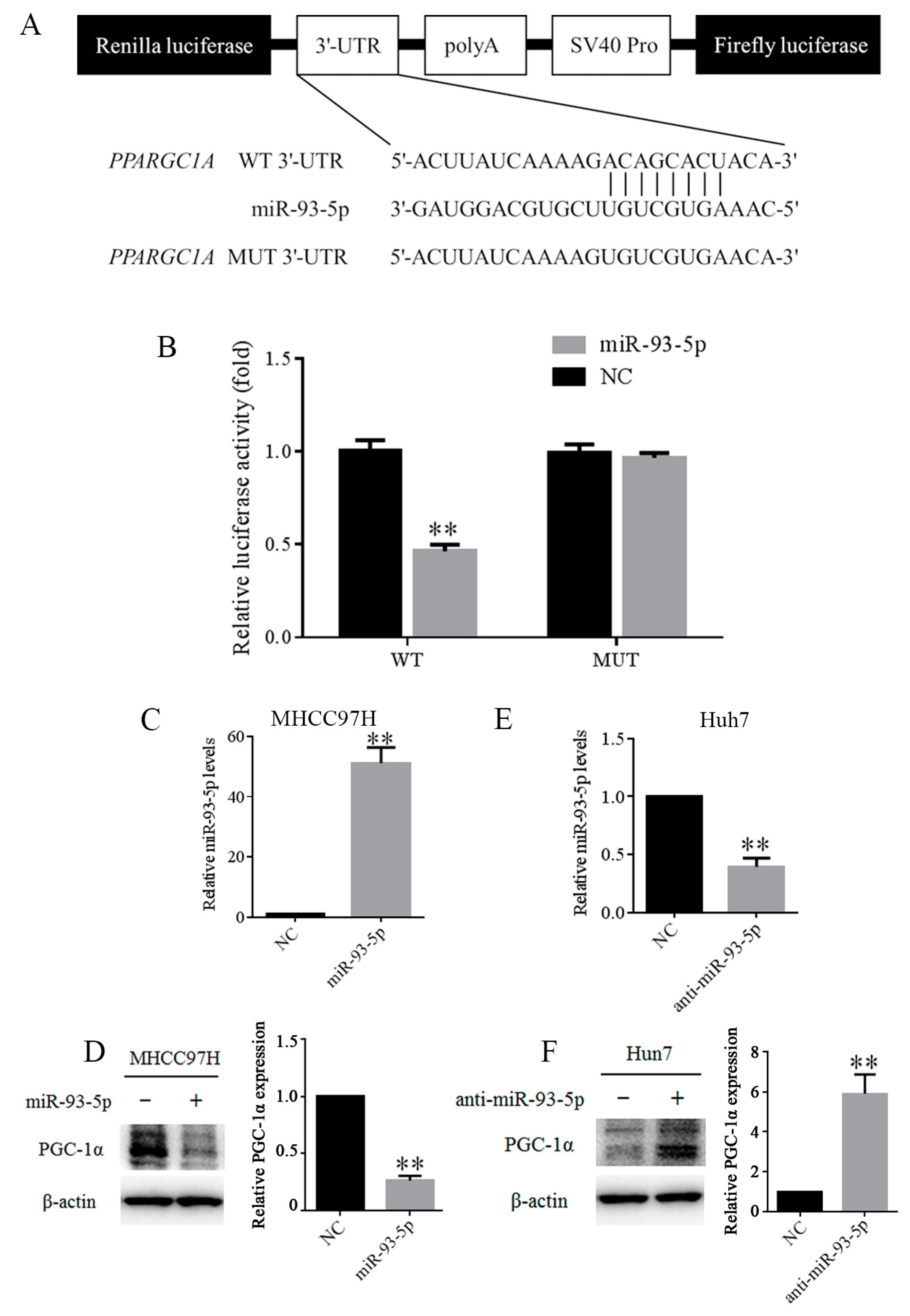 Genes 09 00051 g004 550