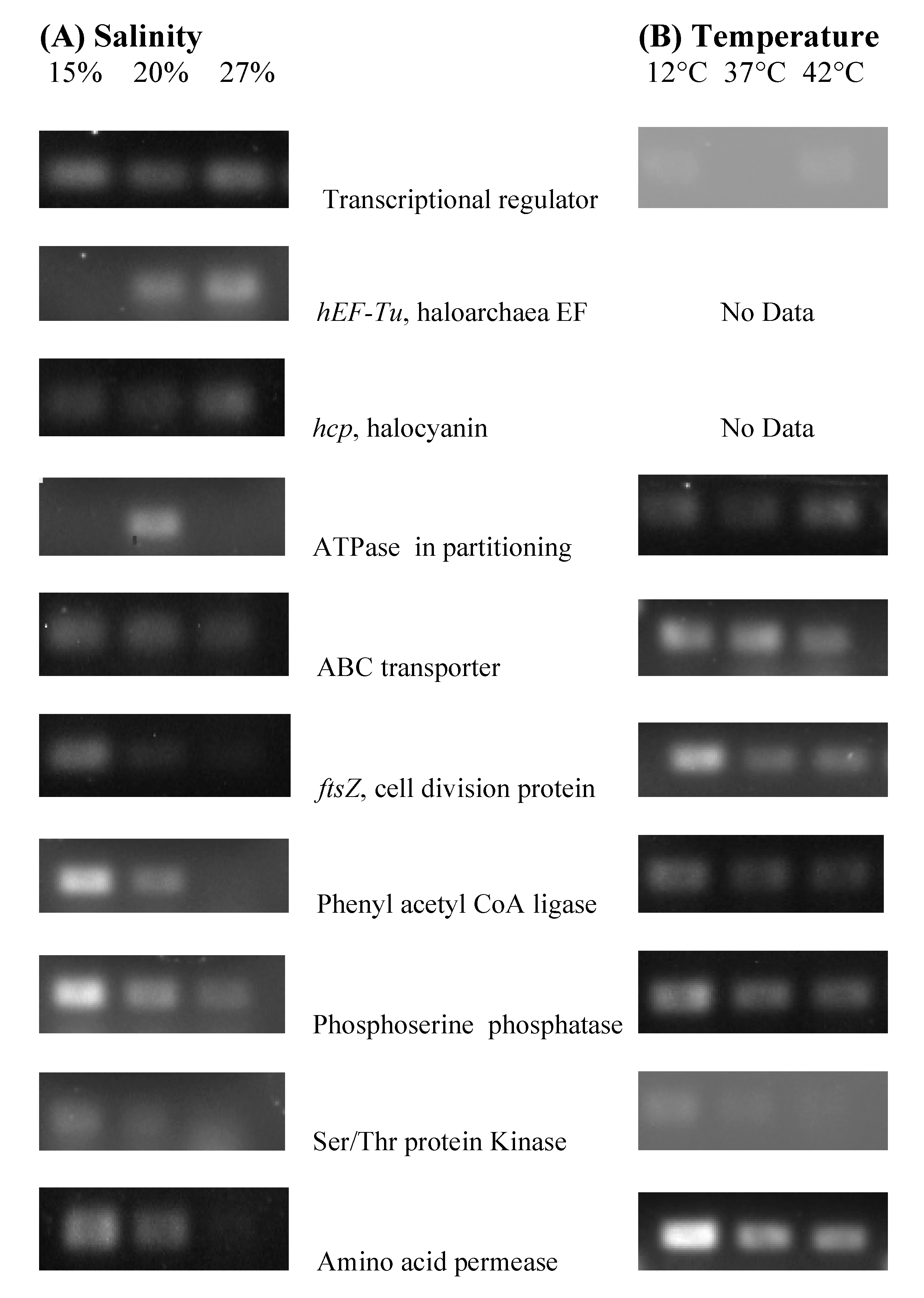 Genes 09 00052 g003 Genes 09 00052 g003