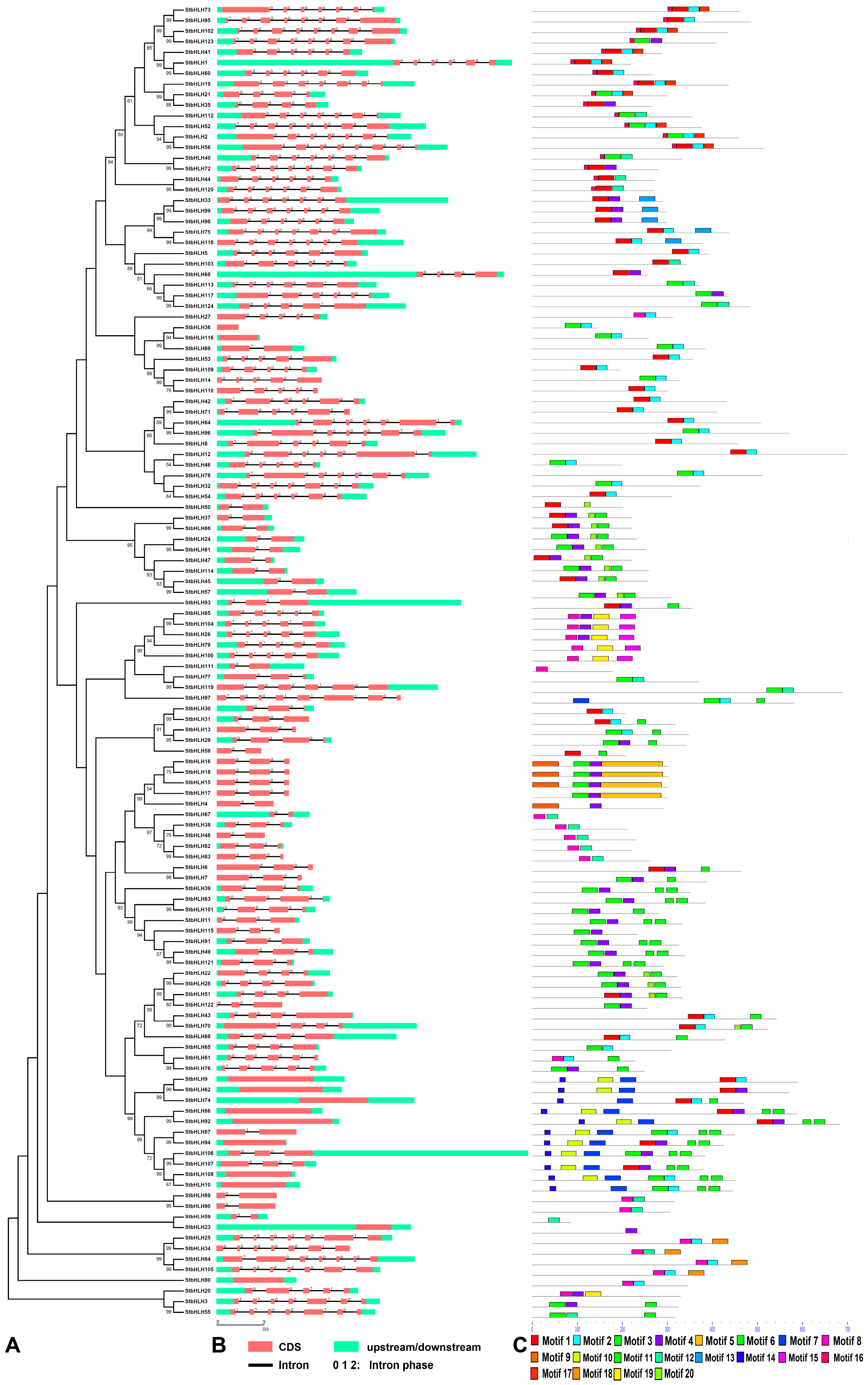 Genes 09 00054 g001 Genes 09 00054 g001