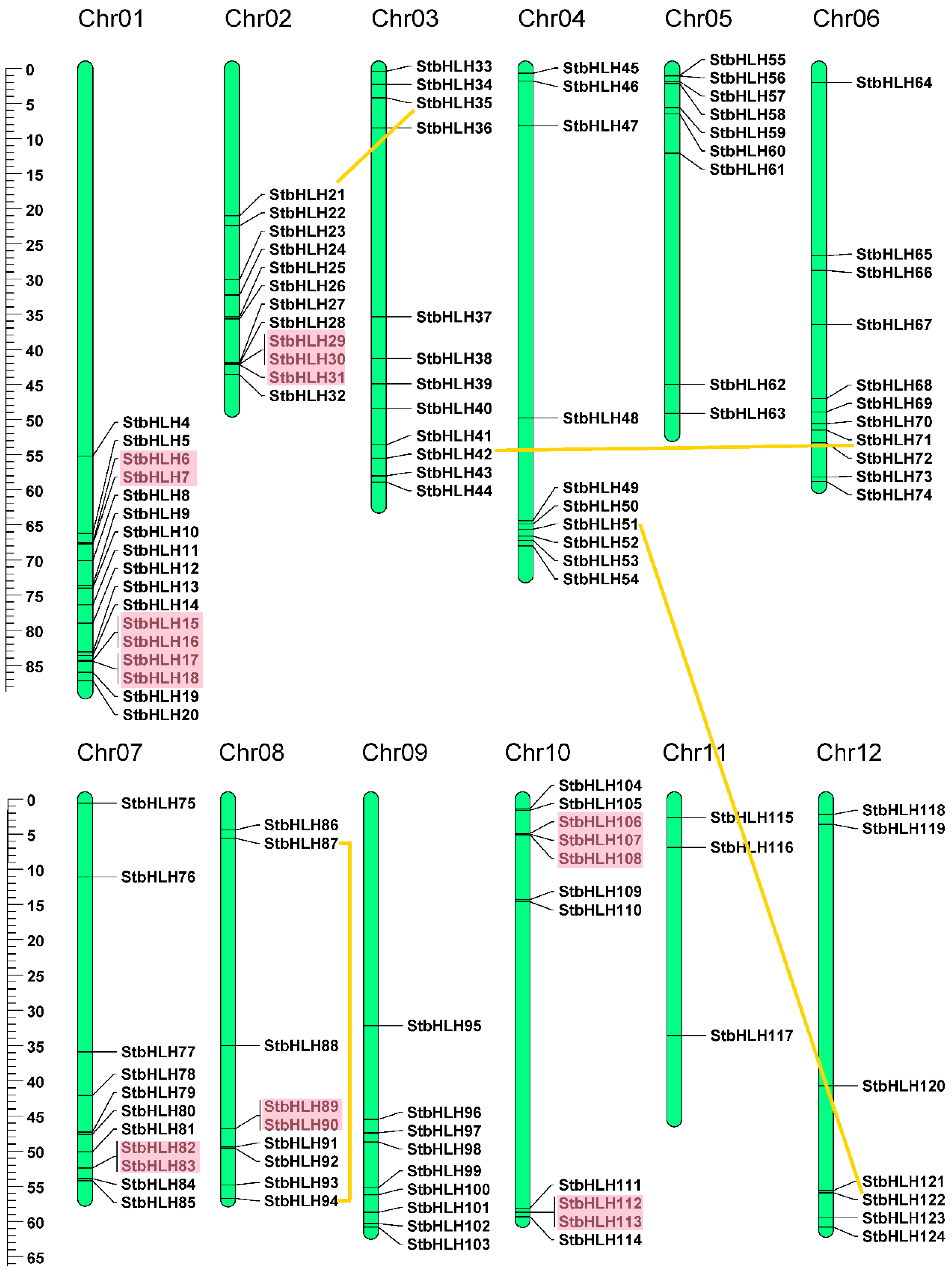 Genes 09 00054 g003 Genes 09 00054 g003
