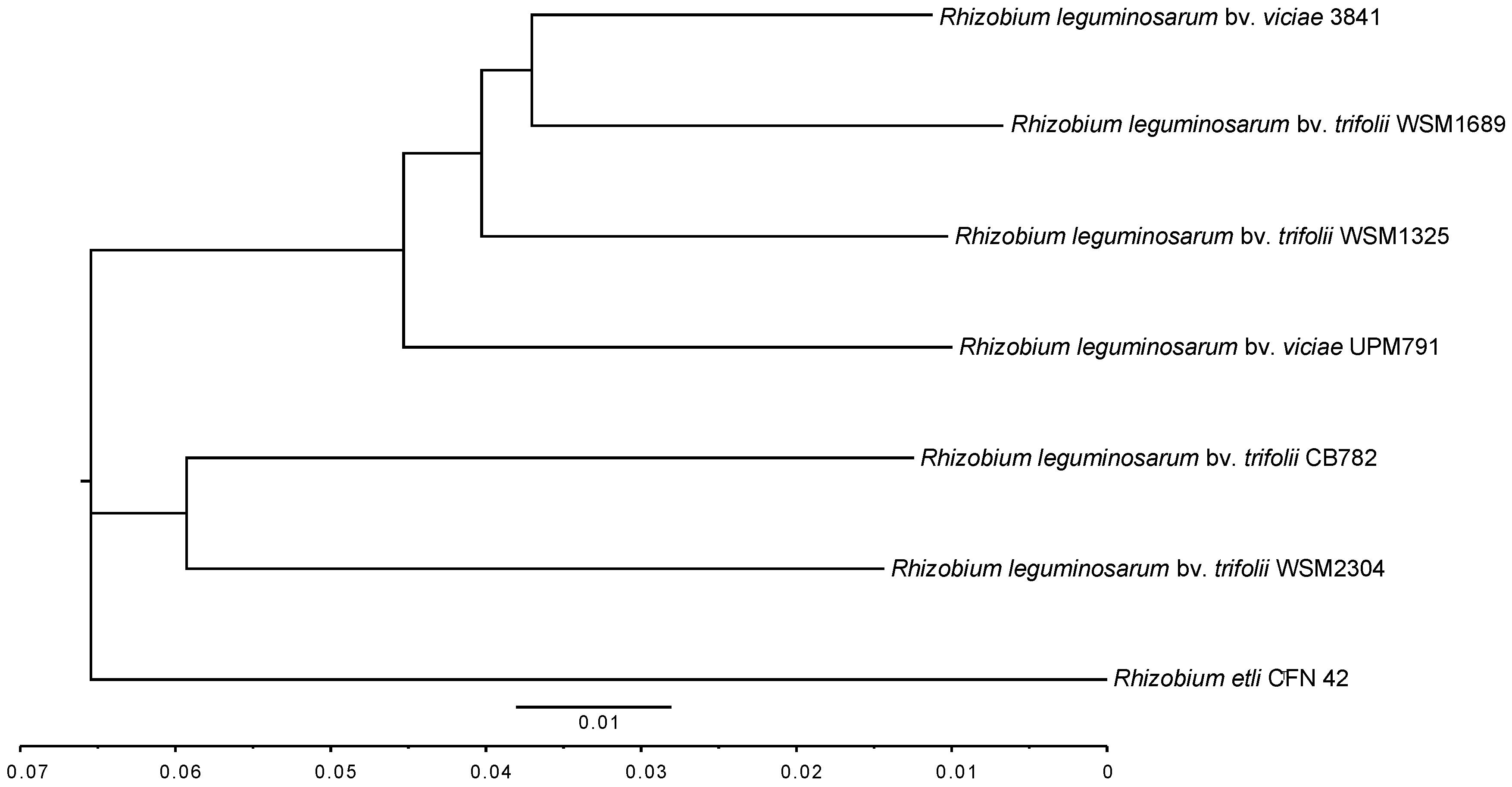 Genes 09 00060 g002 Genes 09 00060 g002