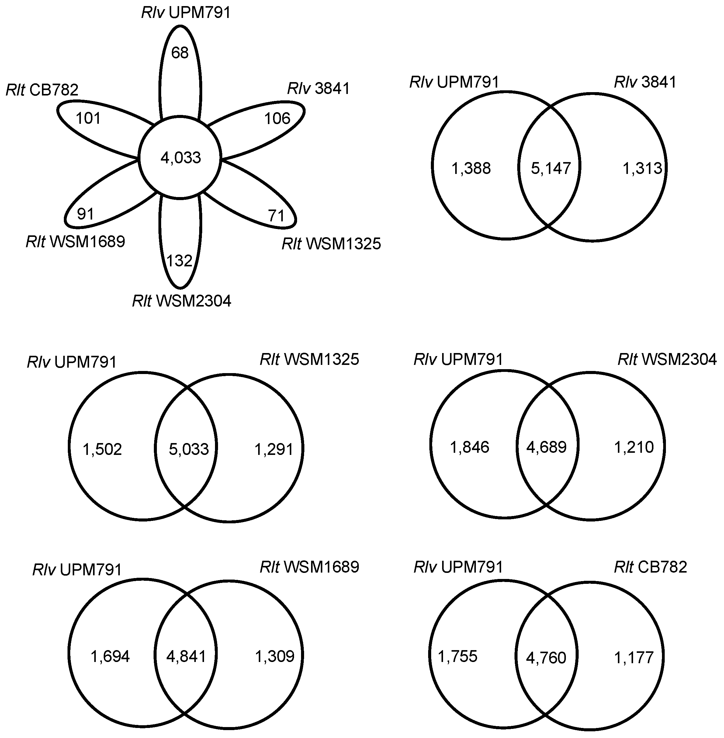 Genes 09 00060 g003 Genes 09 00060 g003