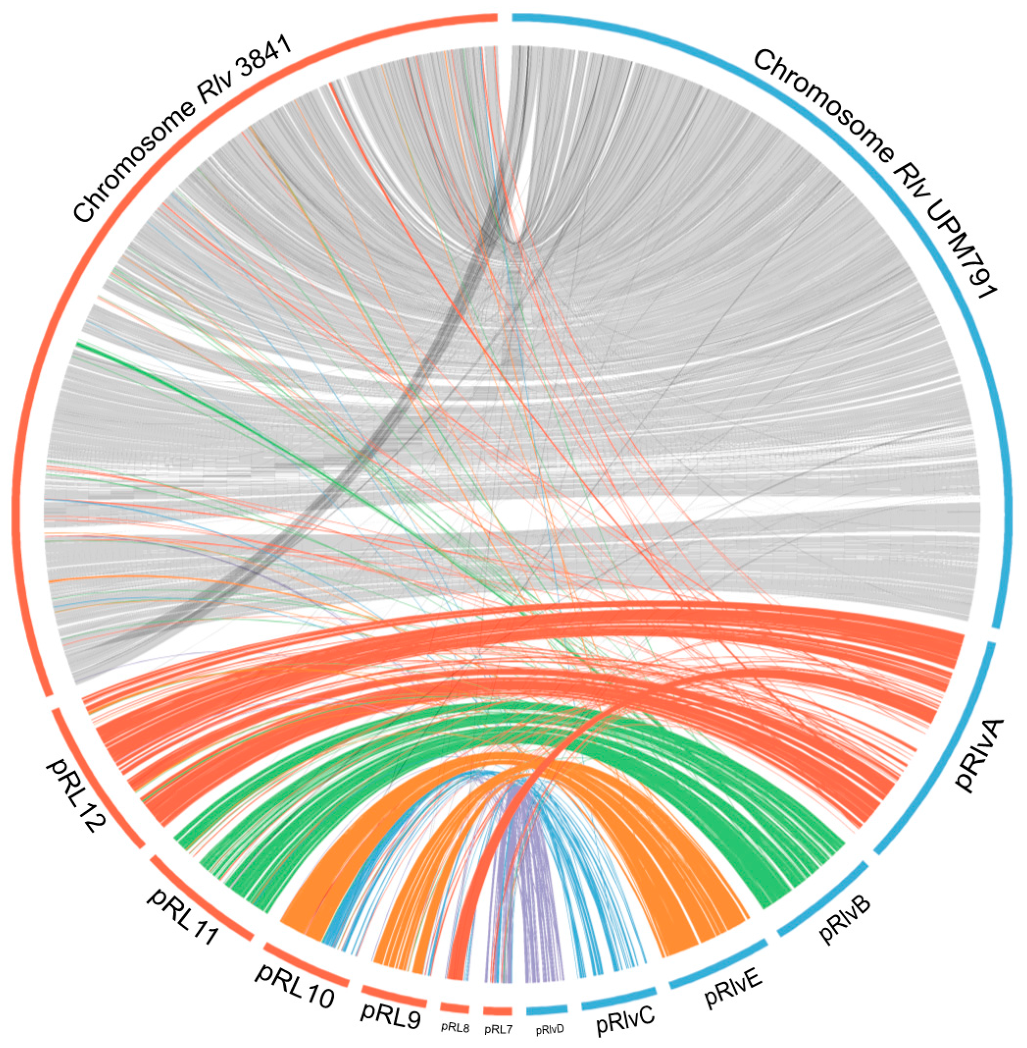 Genes 09 00060 g004 Genes 09 00060 g004