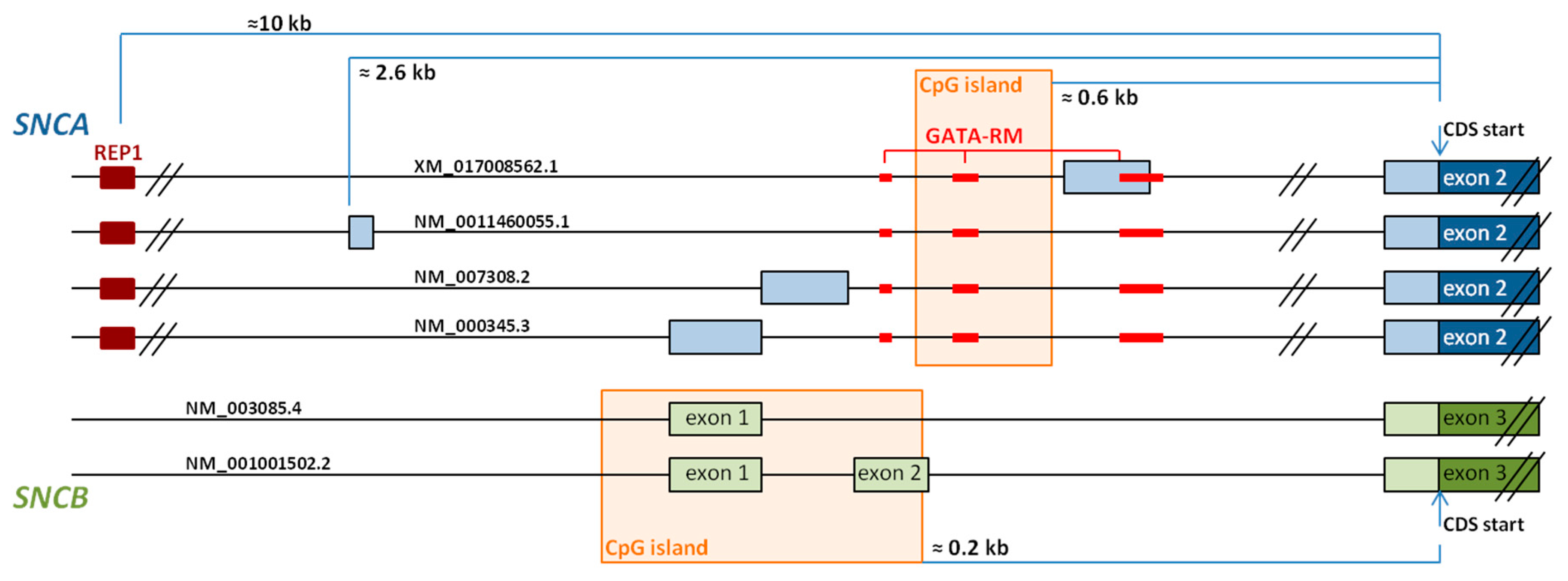 Genes 09 00063 g002 Genes 09 00063 g002