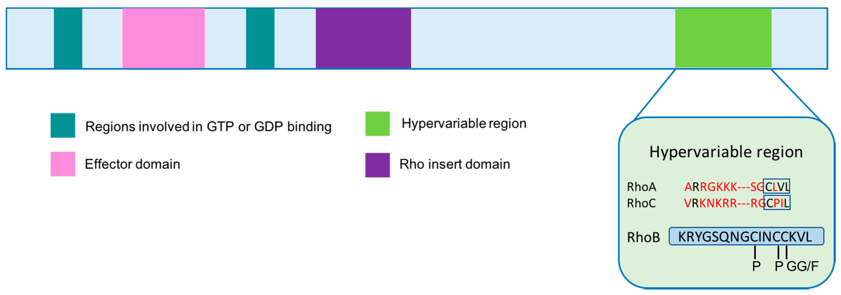 Genes 09 00067 g002
