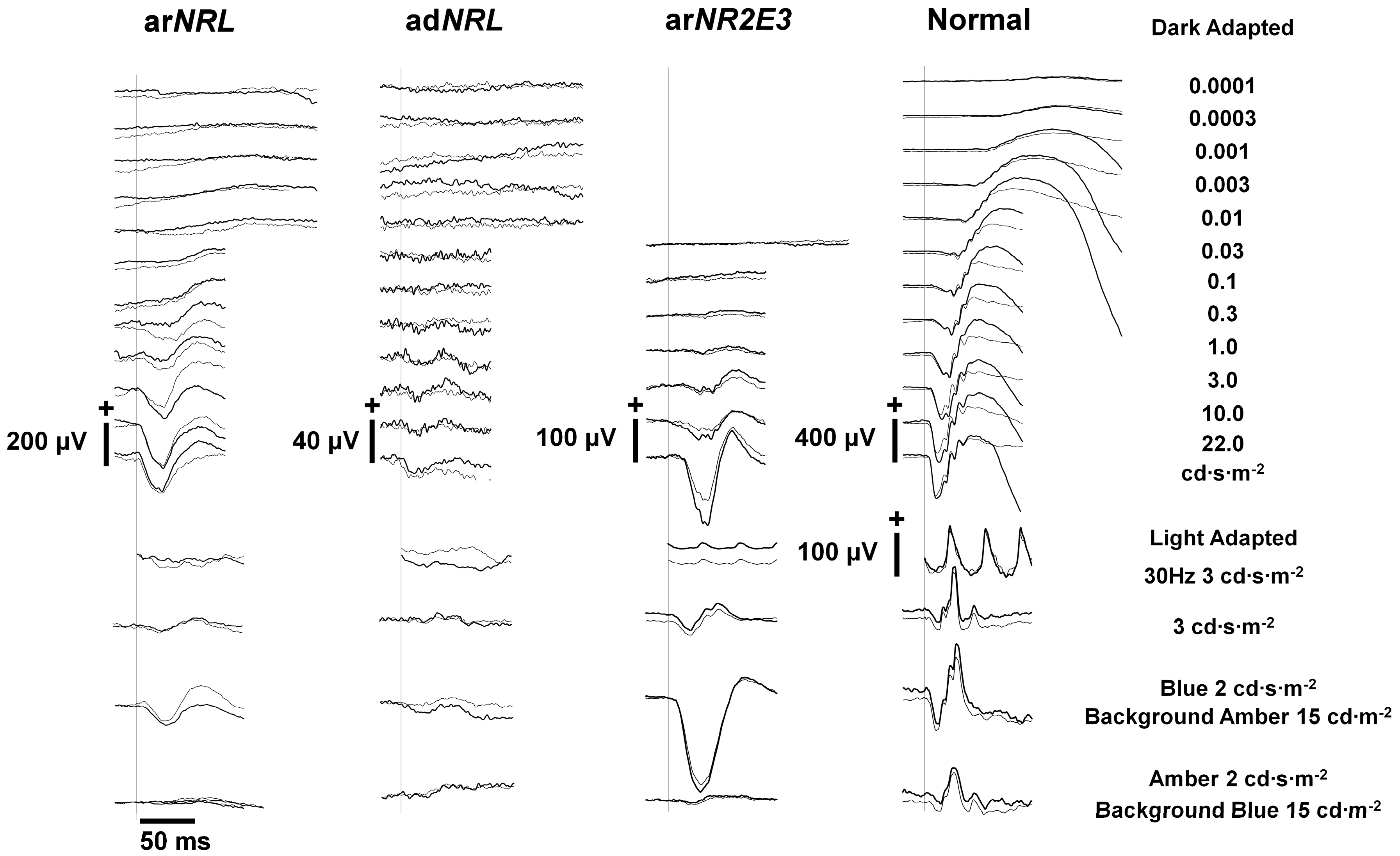 Genes 09 00068 g002