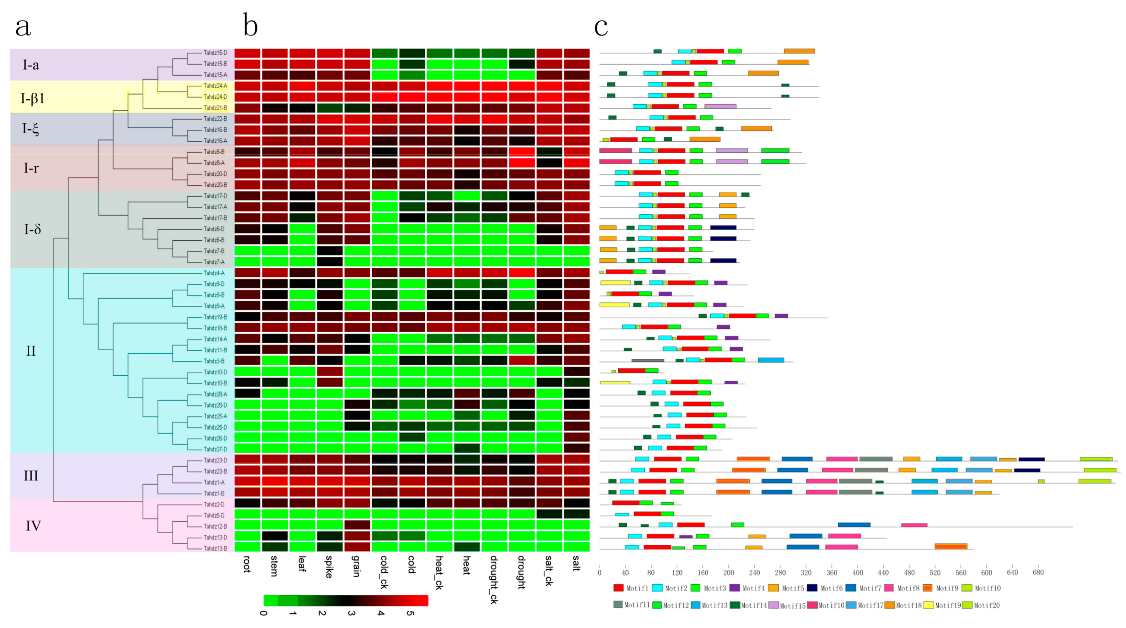 Genes 09 00070 g005 Genes 09 00070 g005