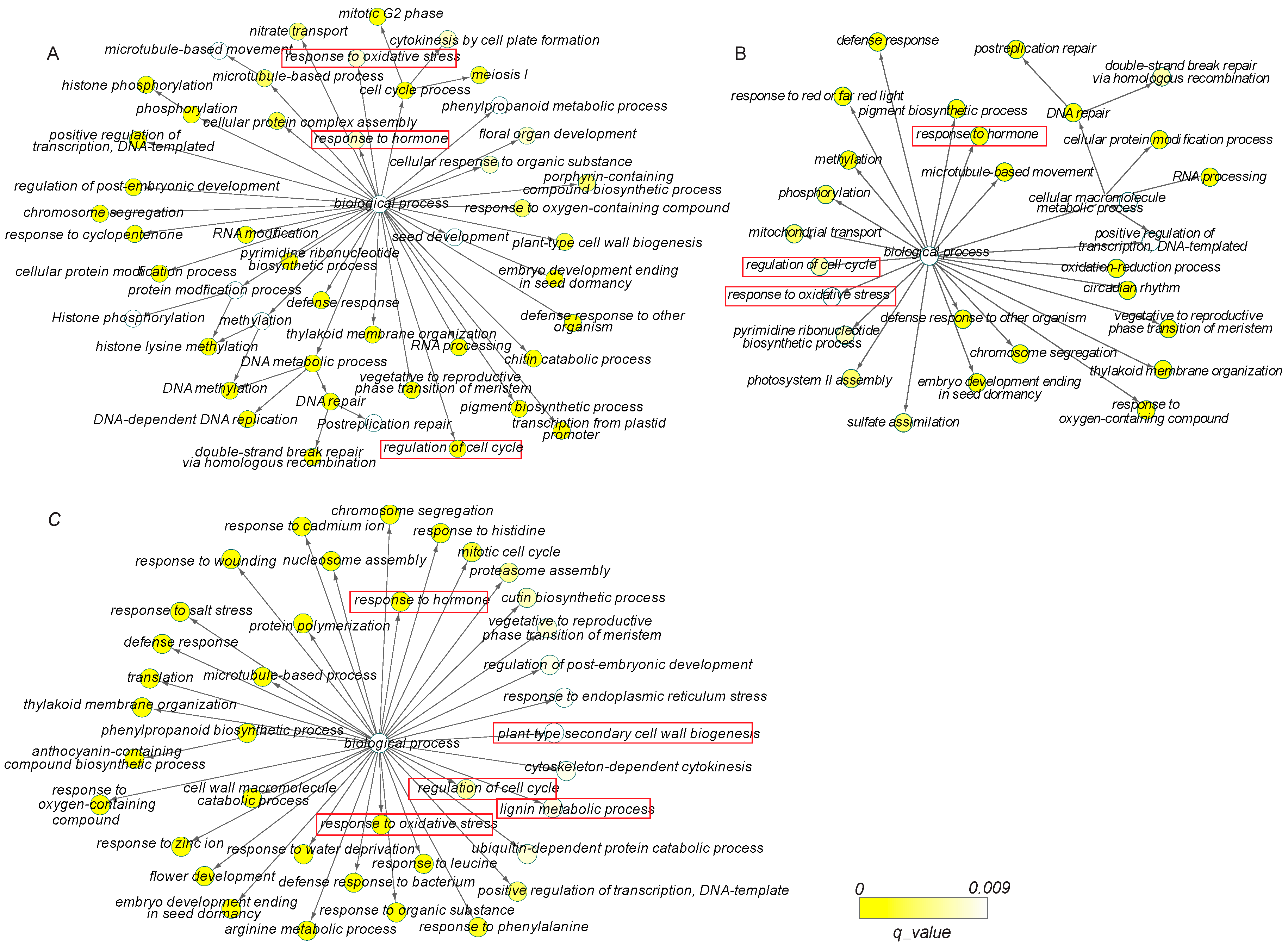 Genes 09 00071 g002
