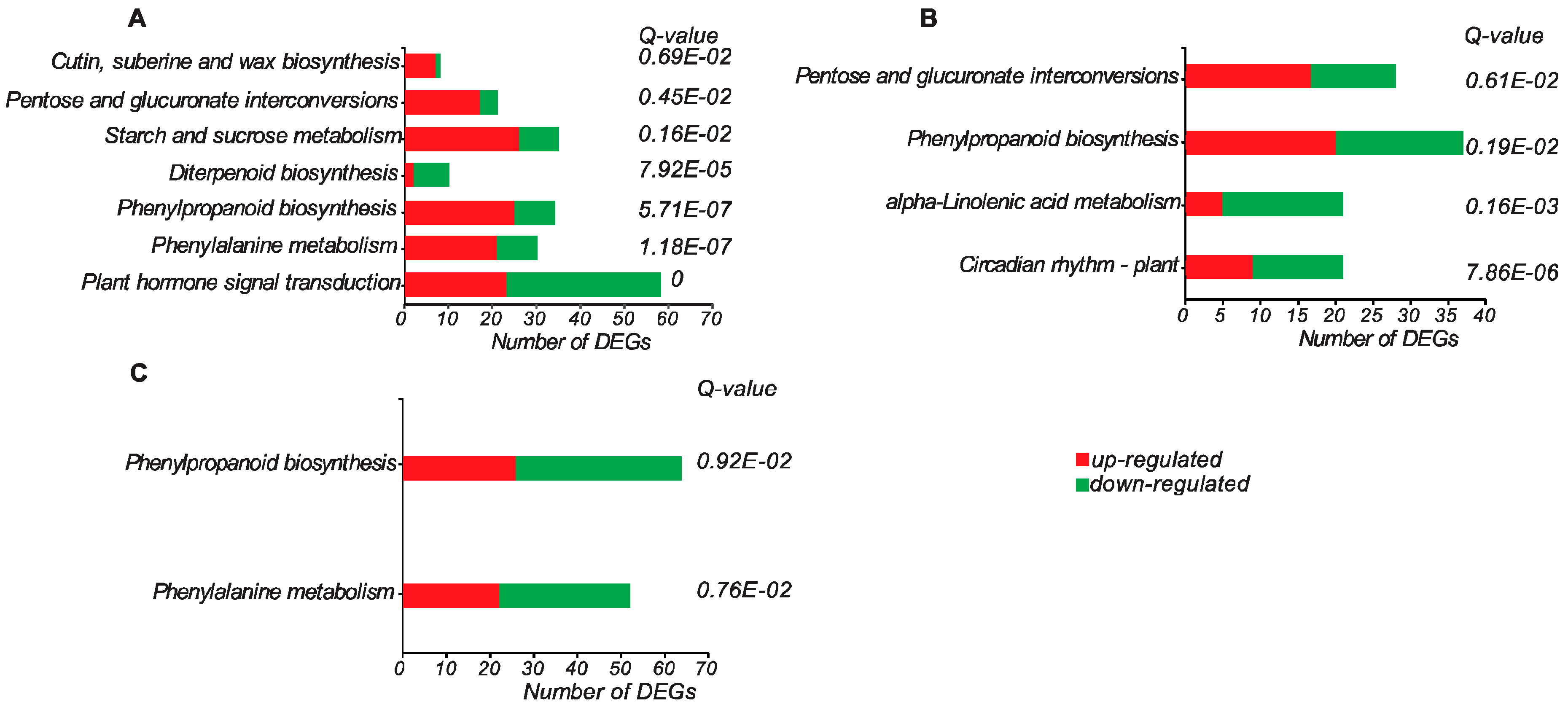 Genes 09 00071 g003