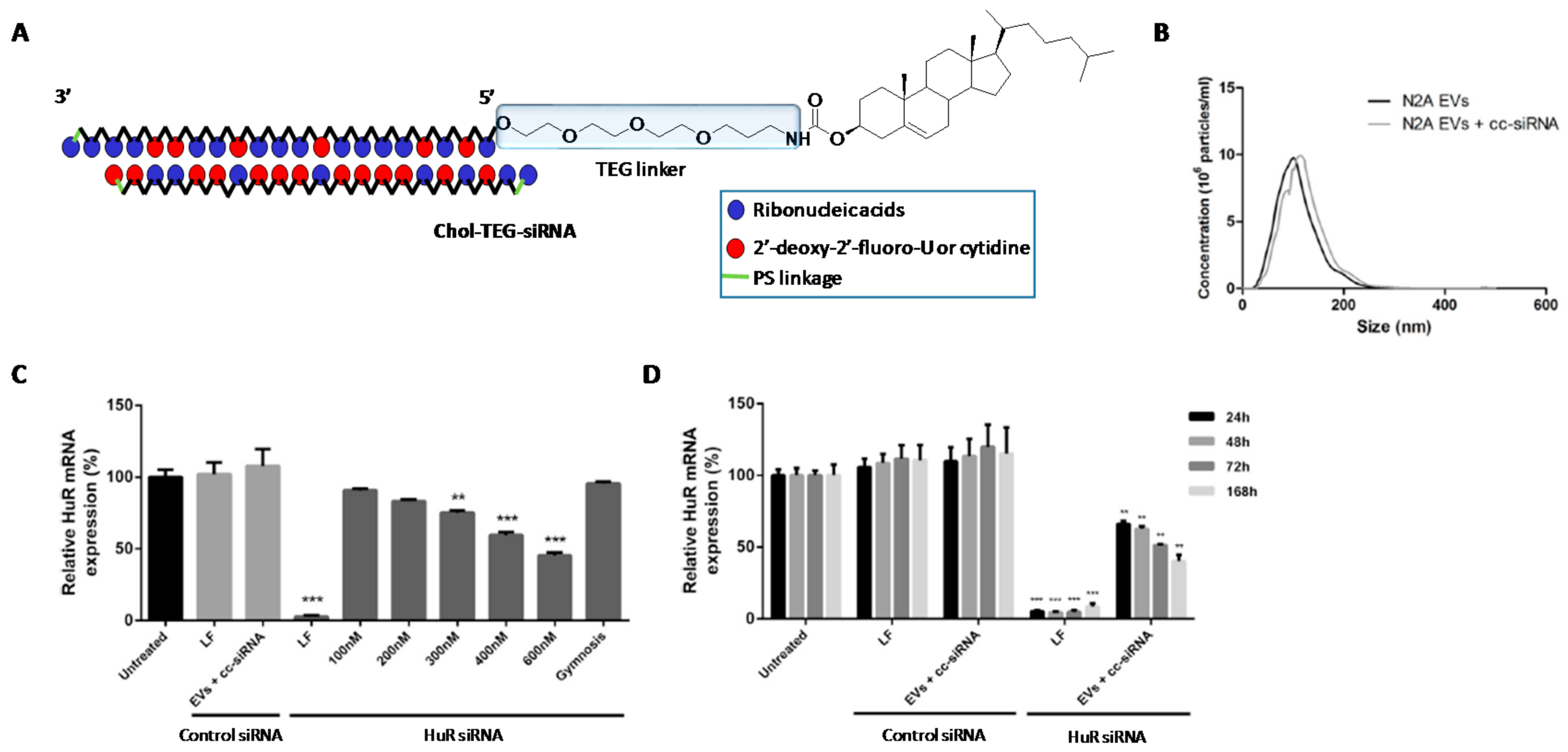 Genes 09 00074 g006 Genes 09 00074 g006