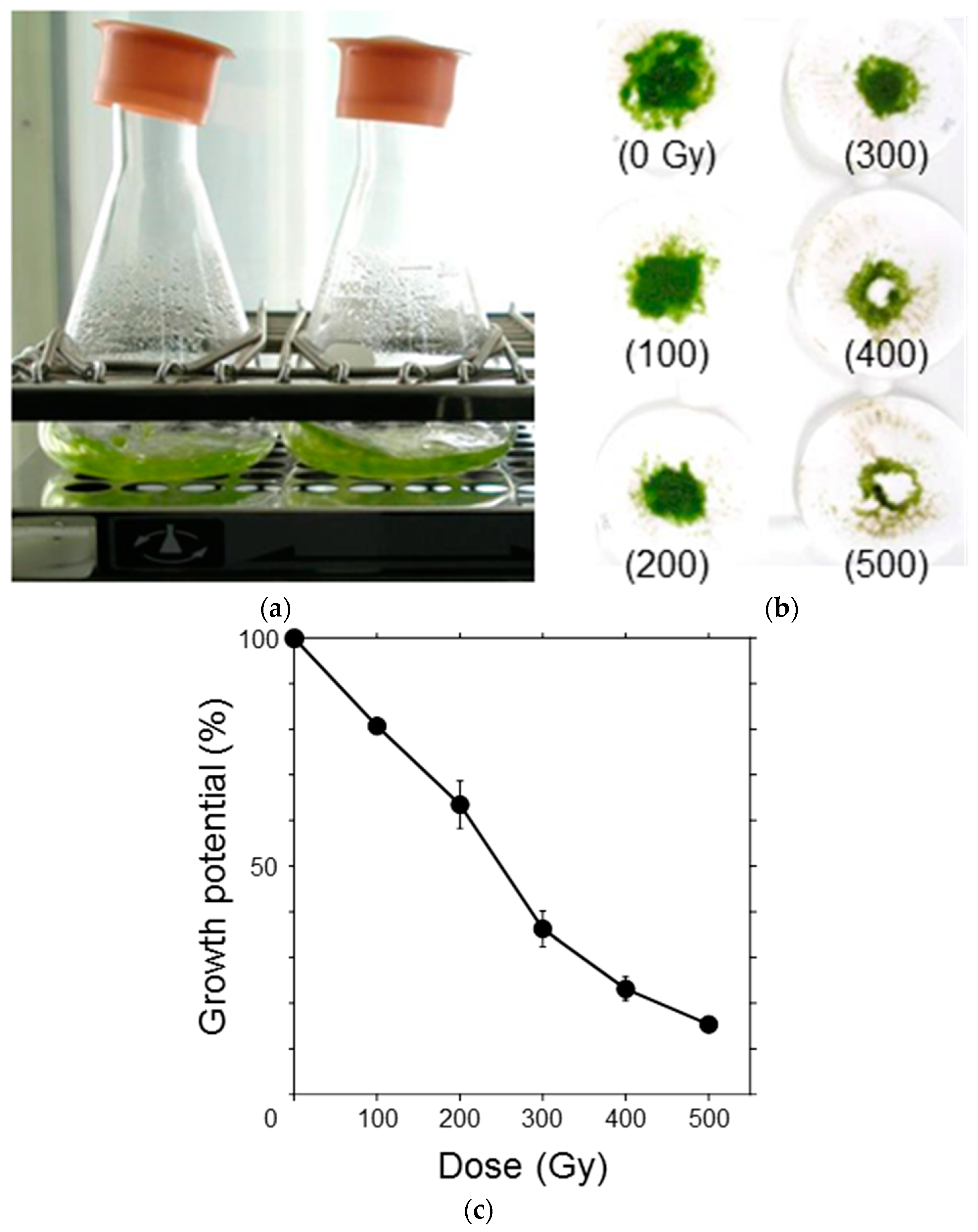 Genes 09 00076 g002 550