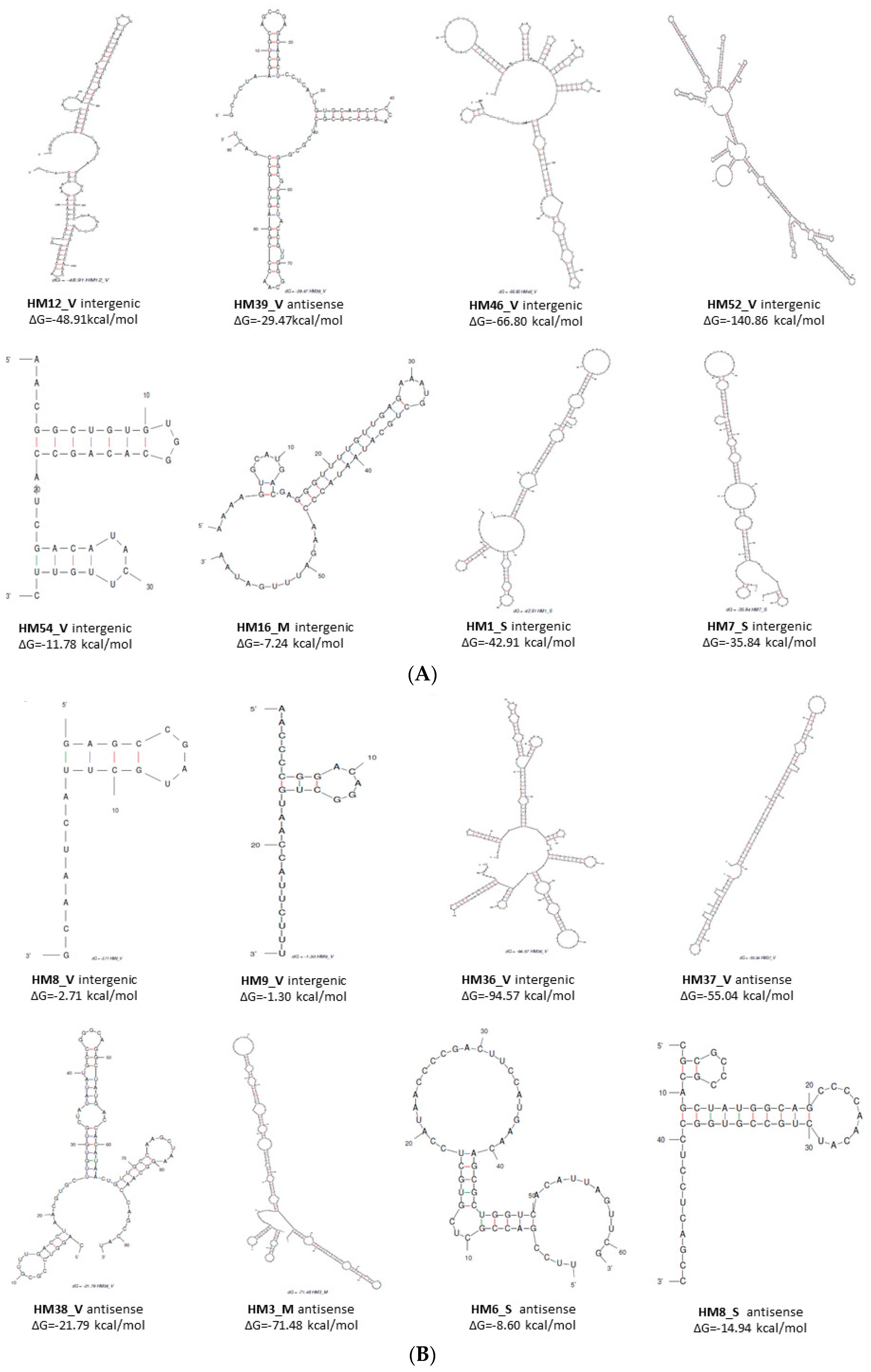 Genes 09 00083 g001 Genes 09 00083 g001