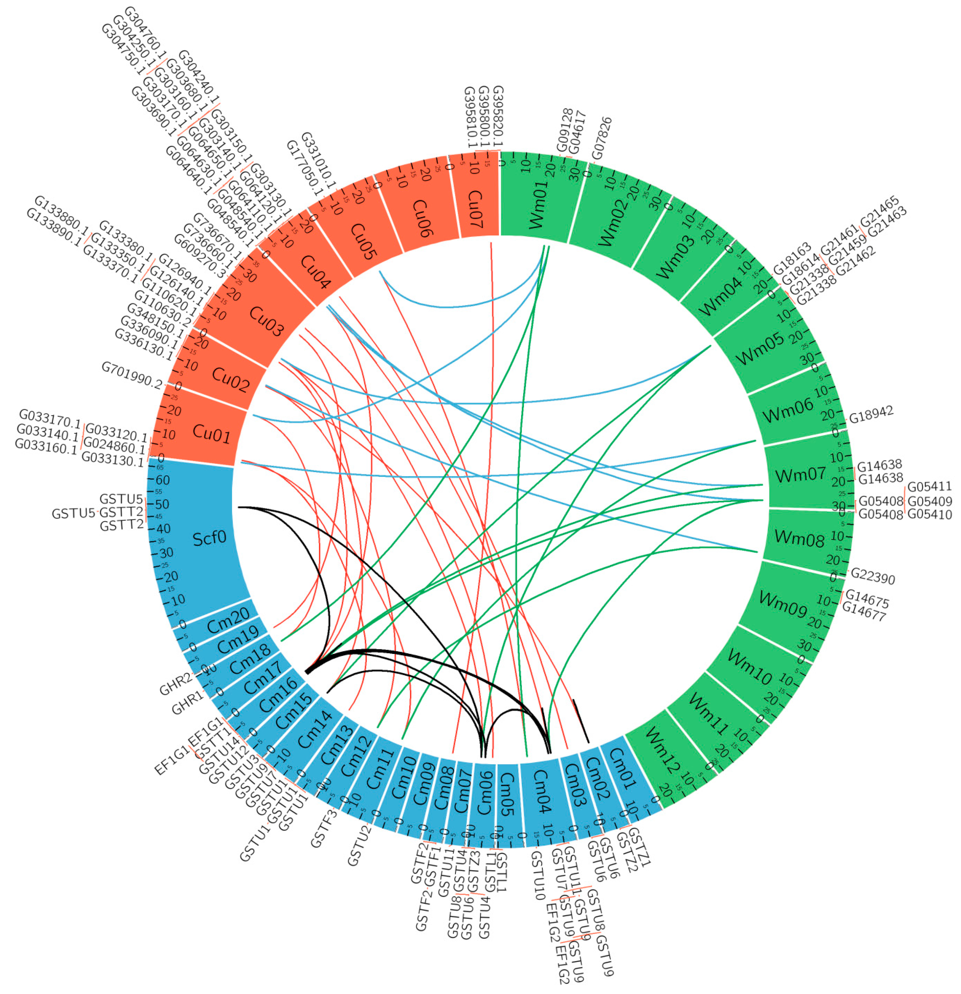 Genes 09 00084 g004 Genes 09 00084 g004