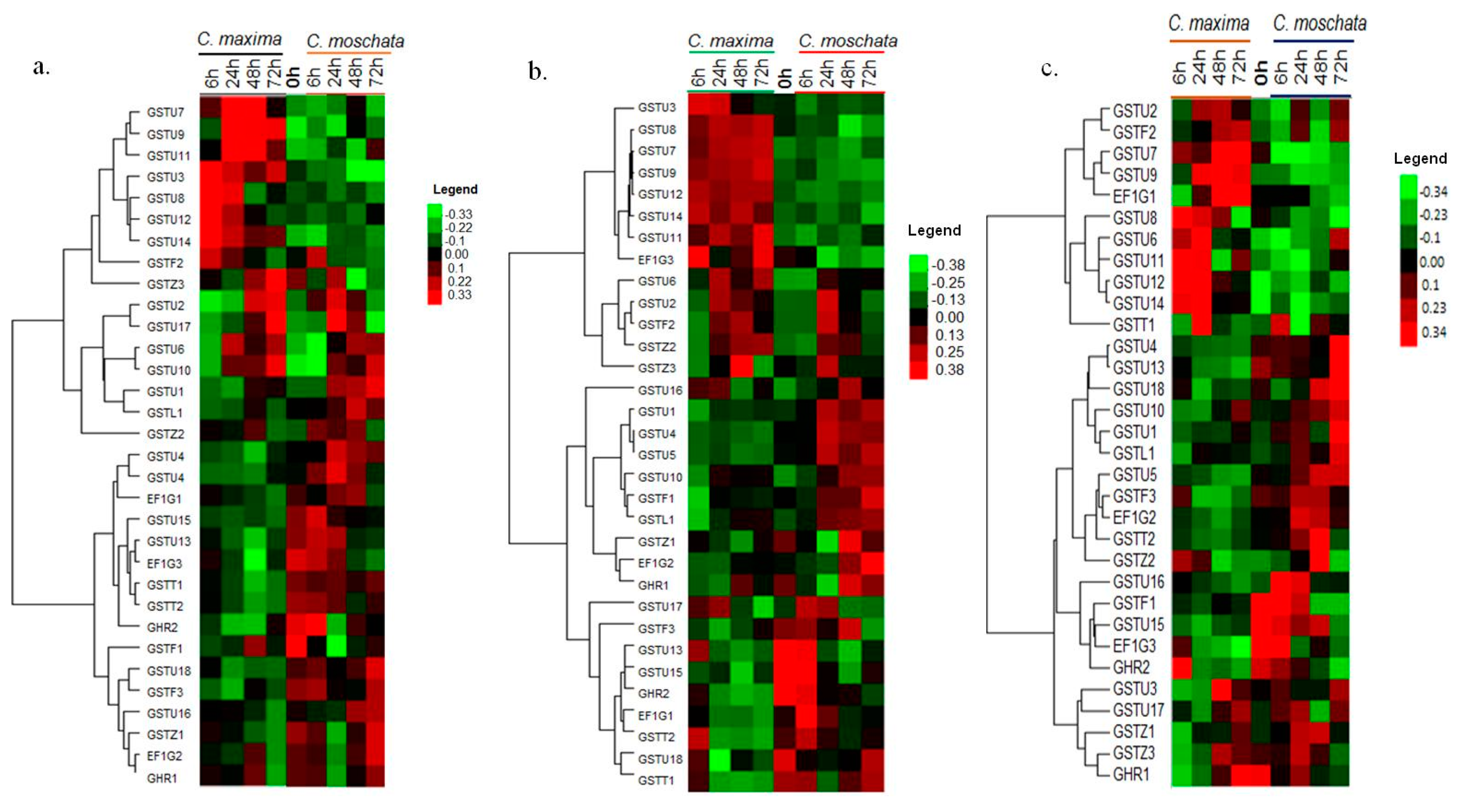 Genes 09 00084 g007 Genes 09 00084 g007