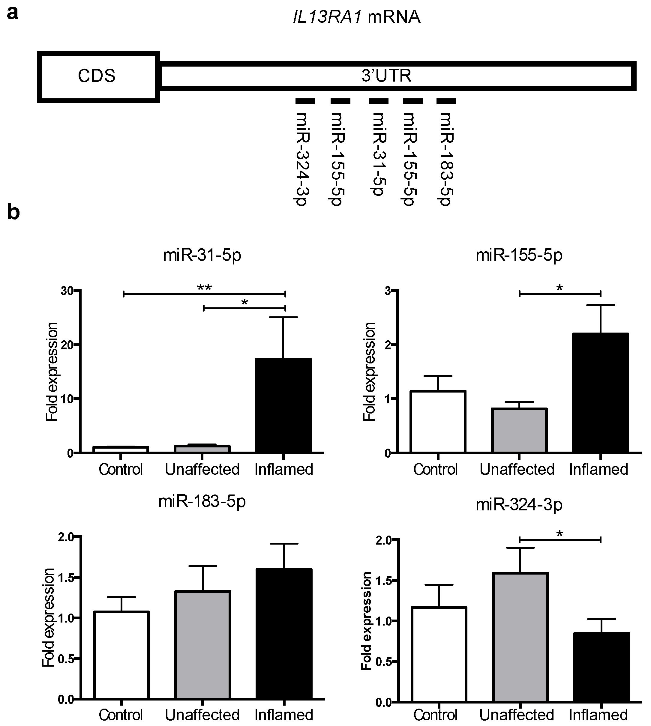 Genes 09 00085 g002