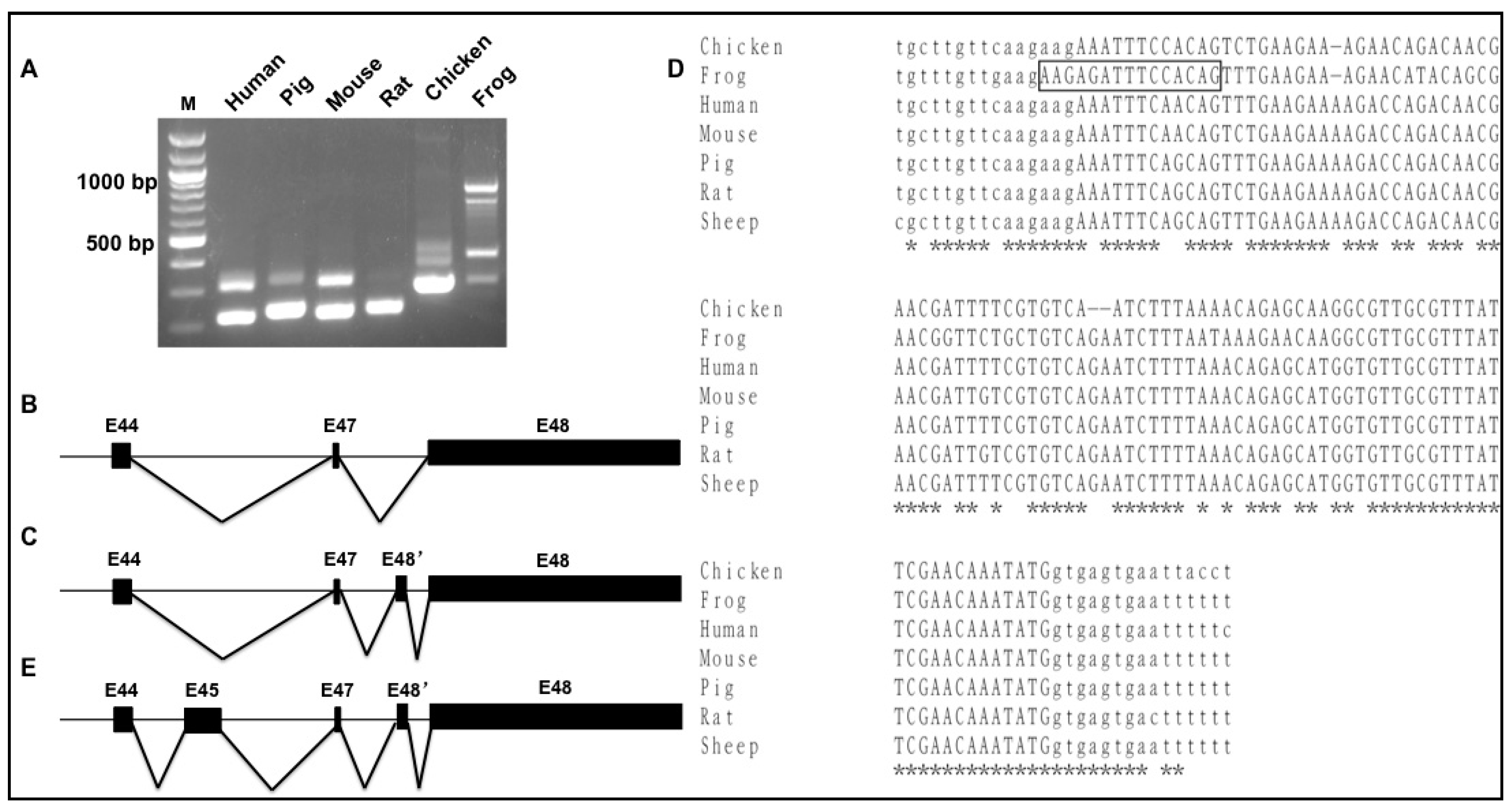 Genes 09 00086 g004 550