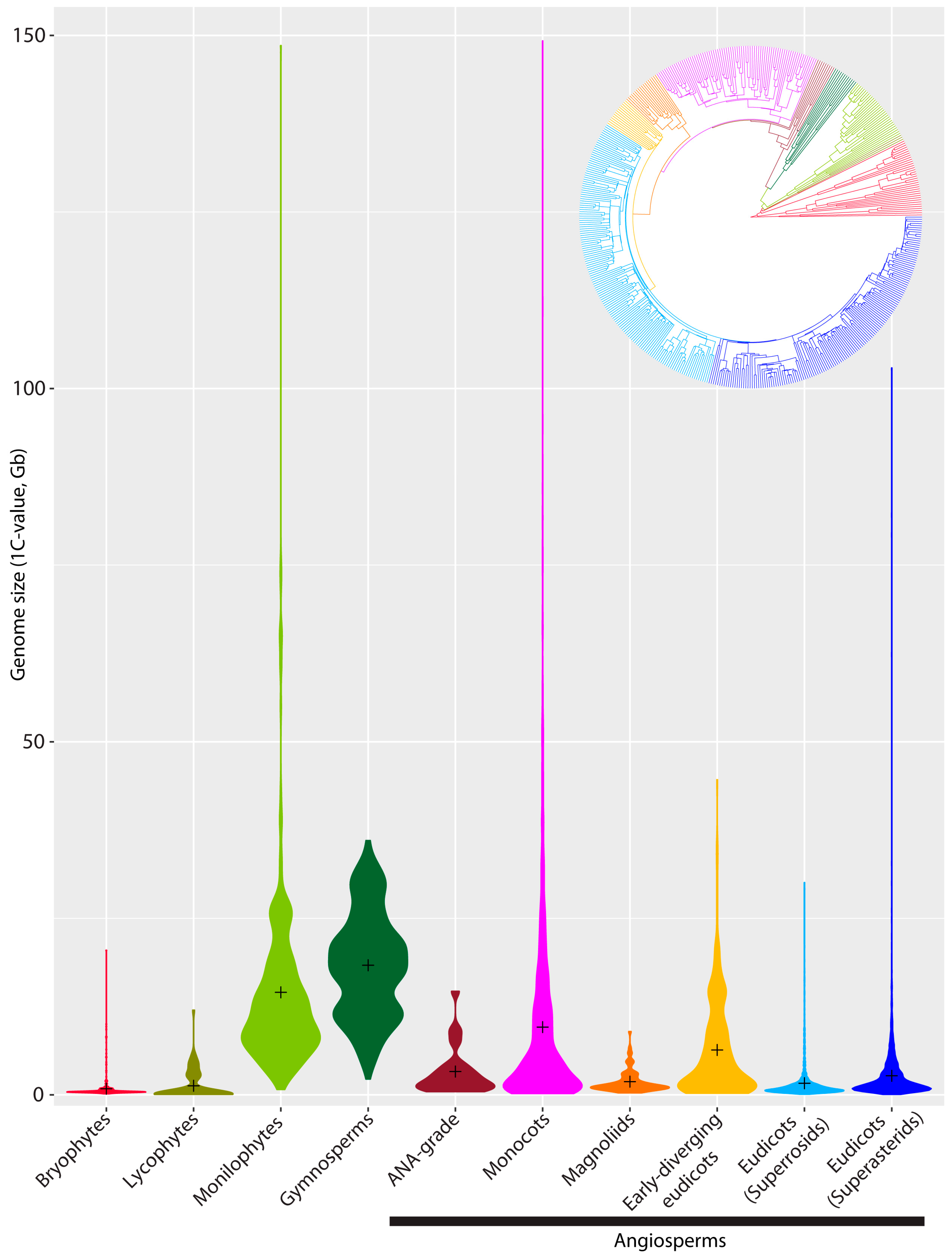 Genes 09 00088 g002