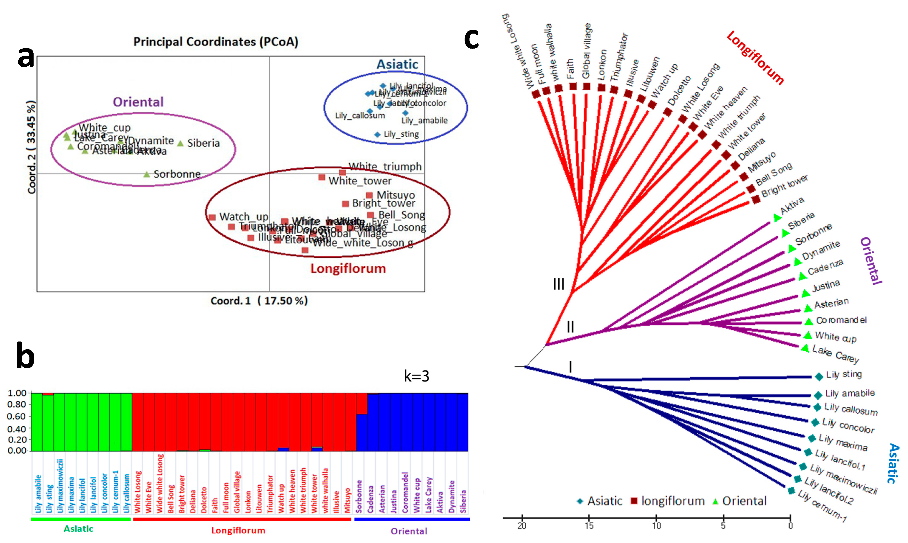 Genes 09 00097 g004