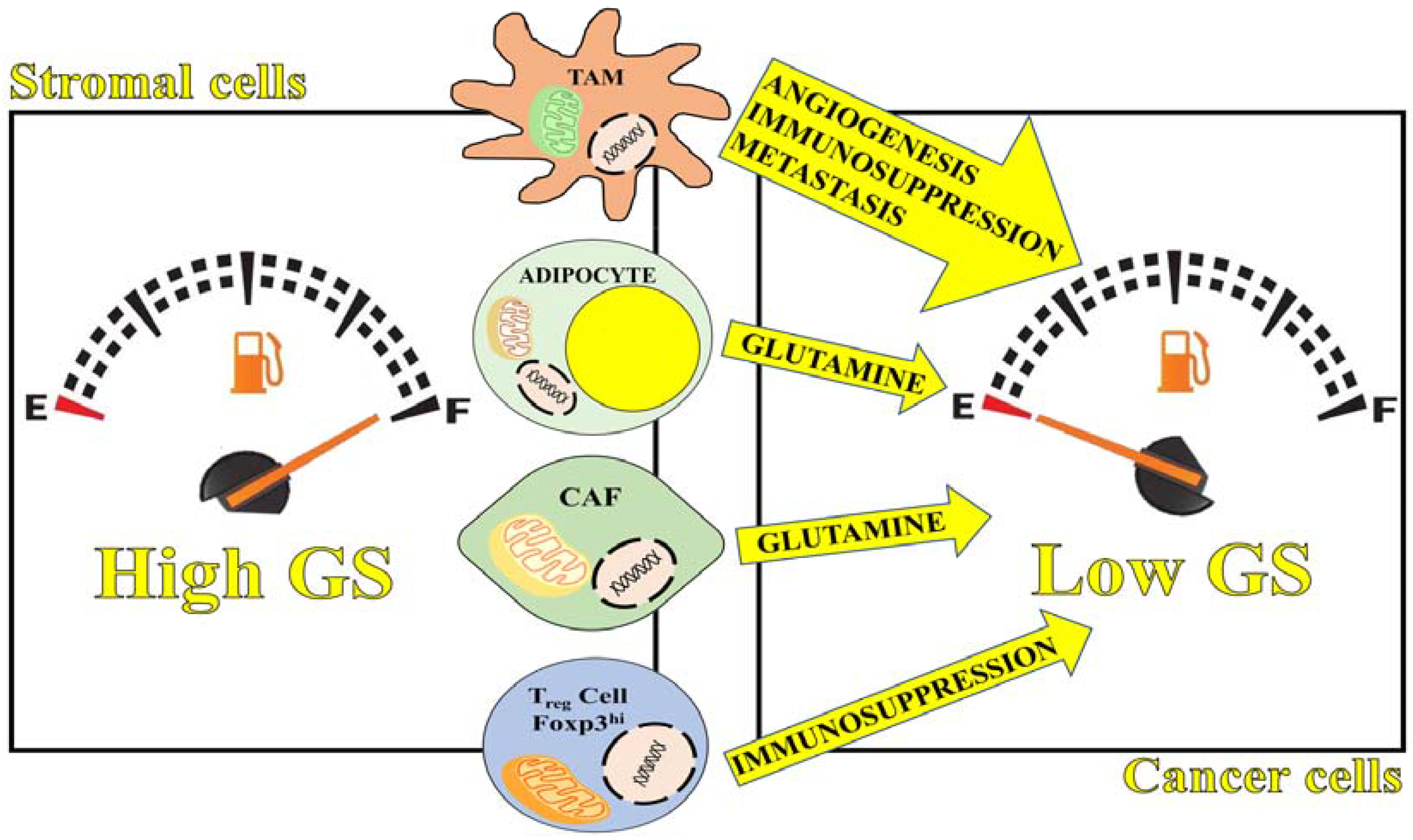 Genes 09 00108 g002