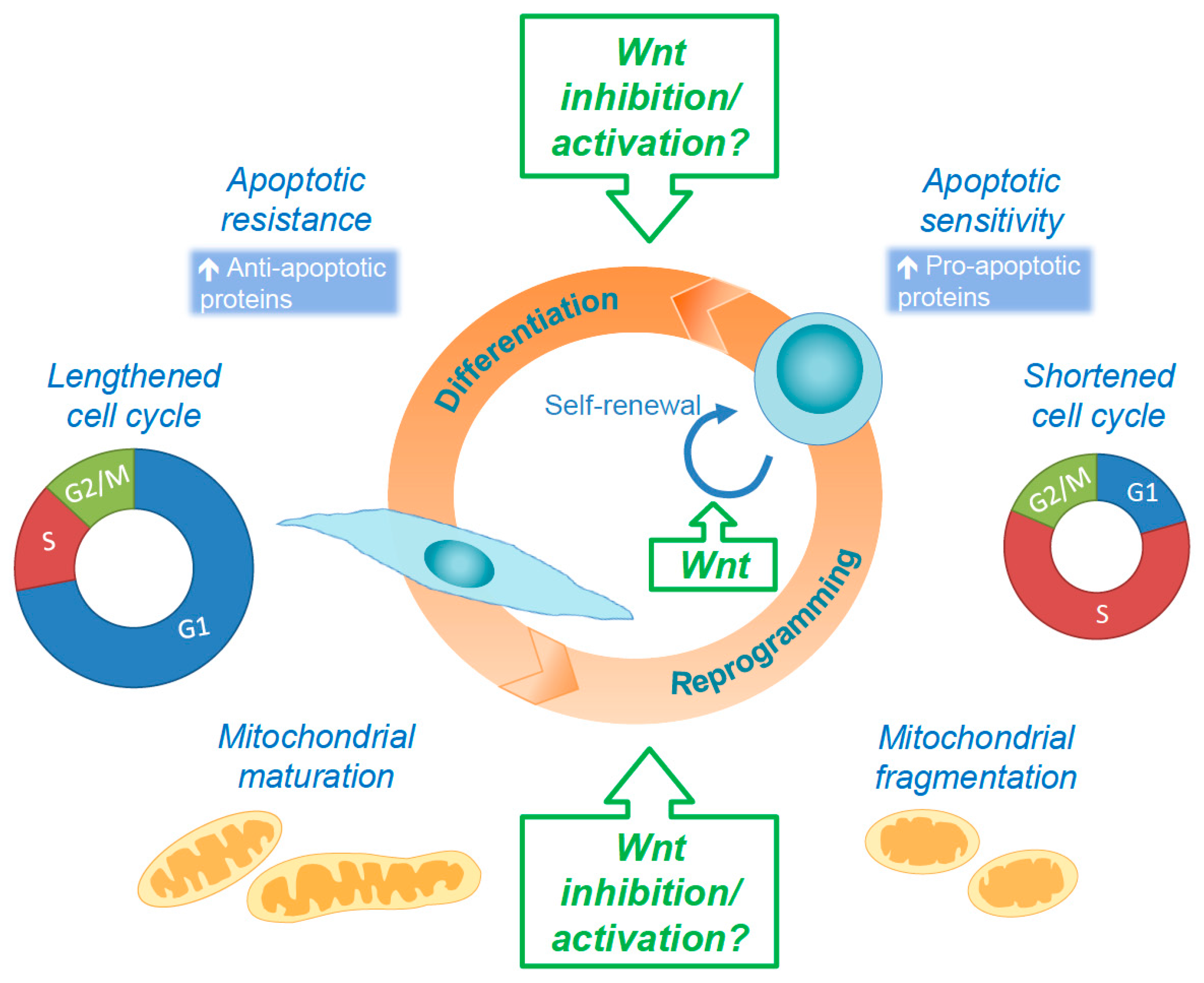 Genes 09 00109 g004 Genes 09 00109 g004