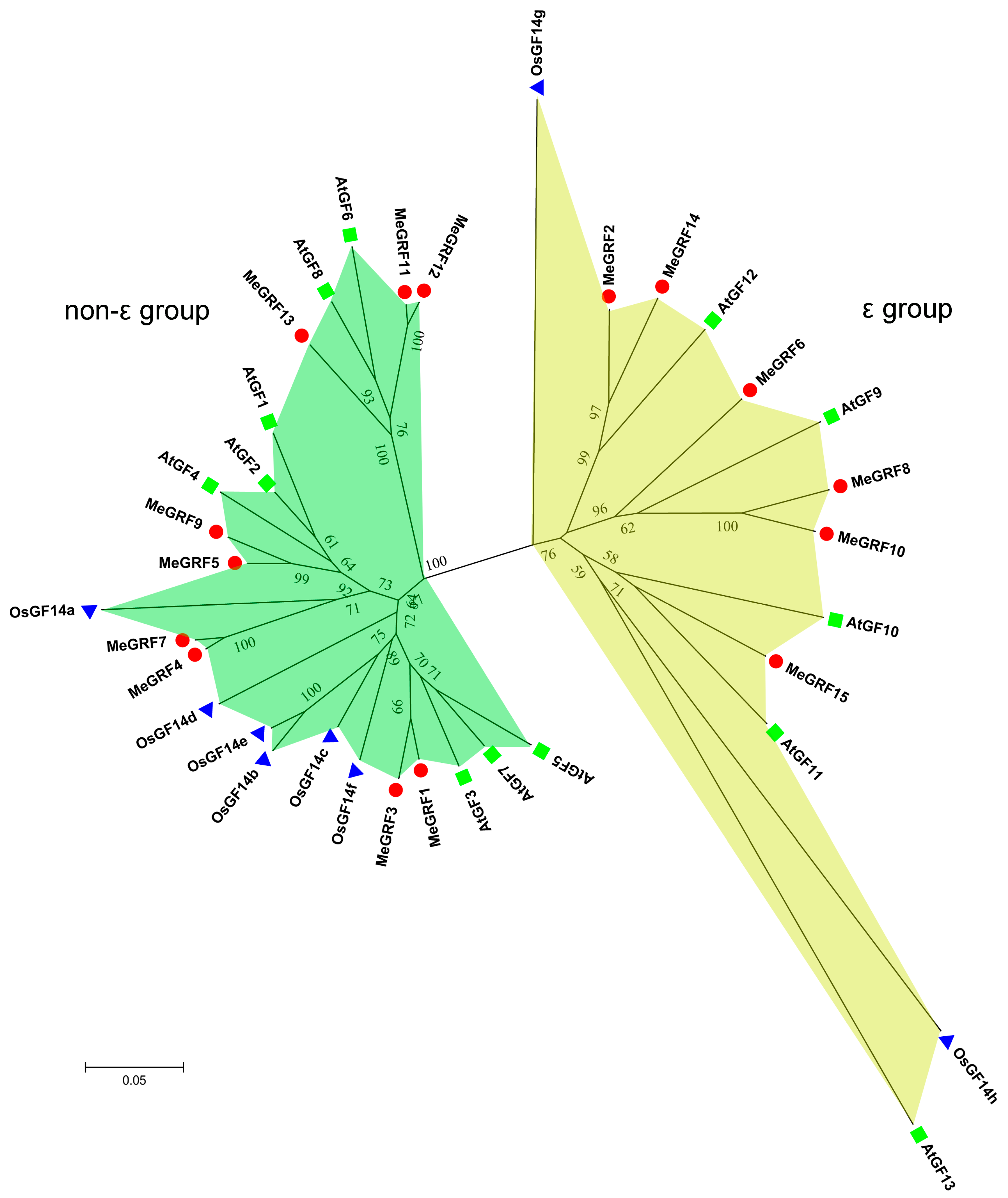Genes 09 00110 g001 Genes 09 00110 g001