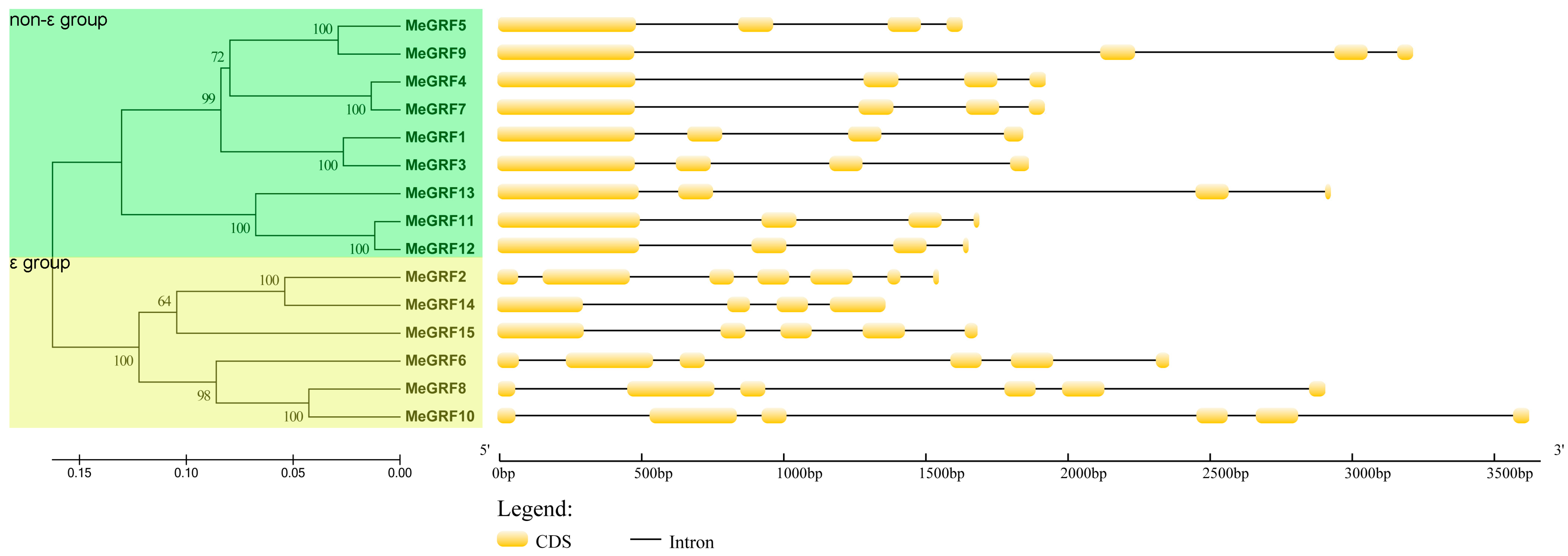 Genes 09 00110 g003 Genes 09 00110 g003