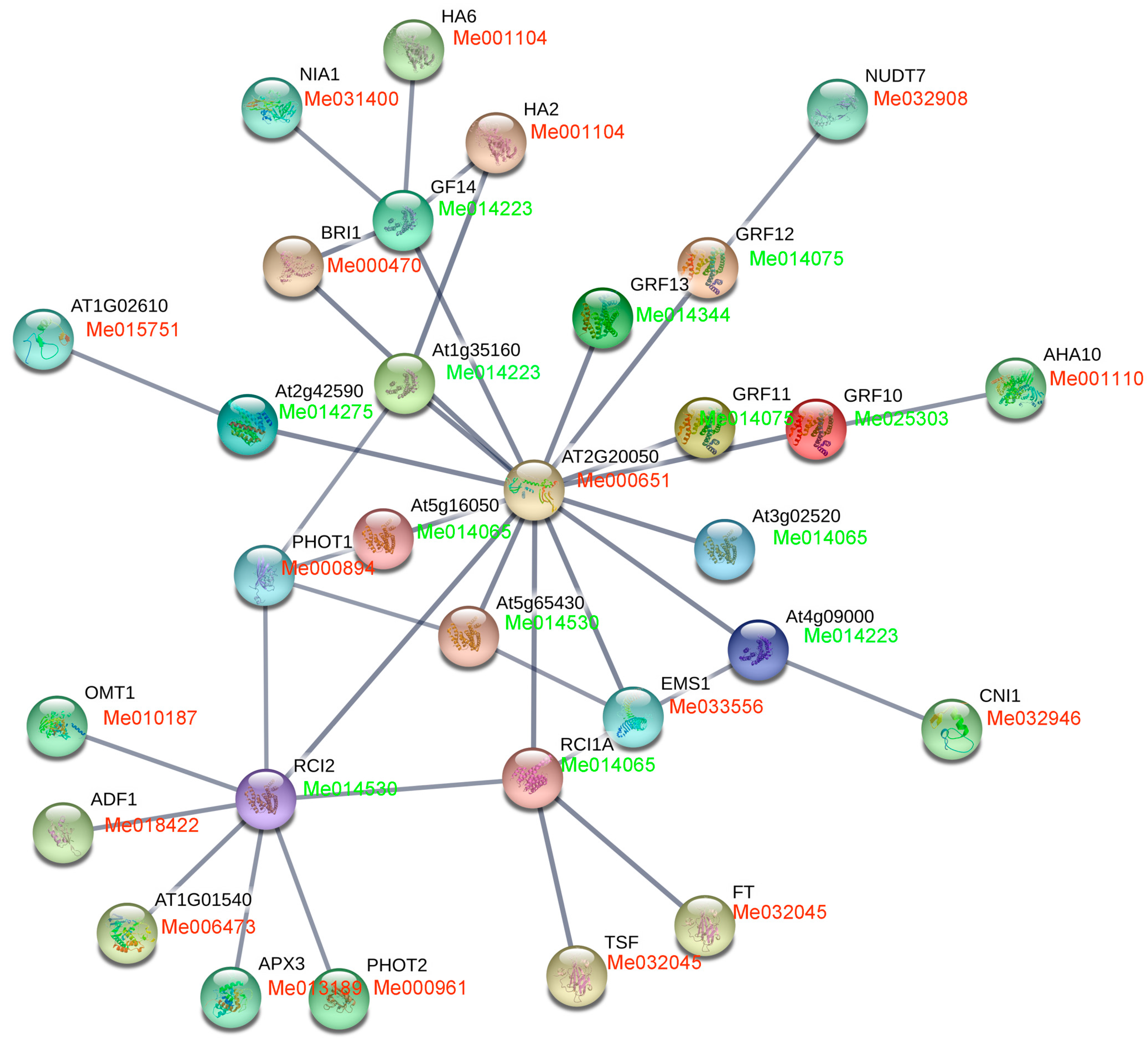Genes 09 00110 g010 Genes 09 00110 g010