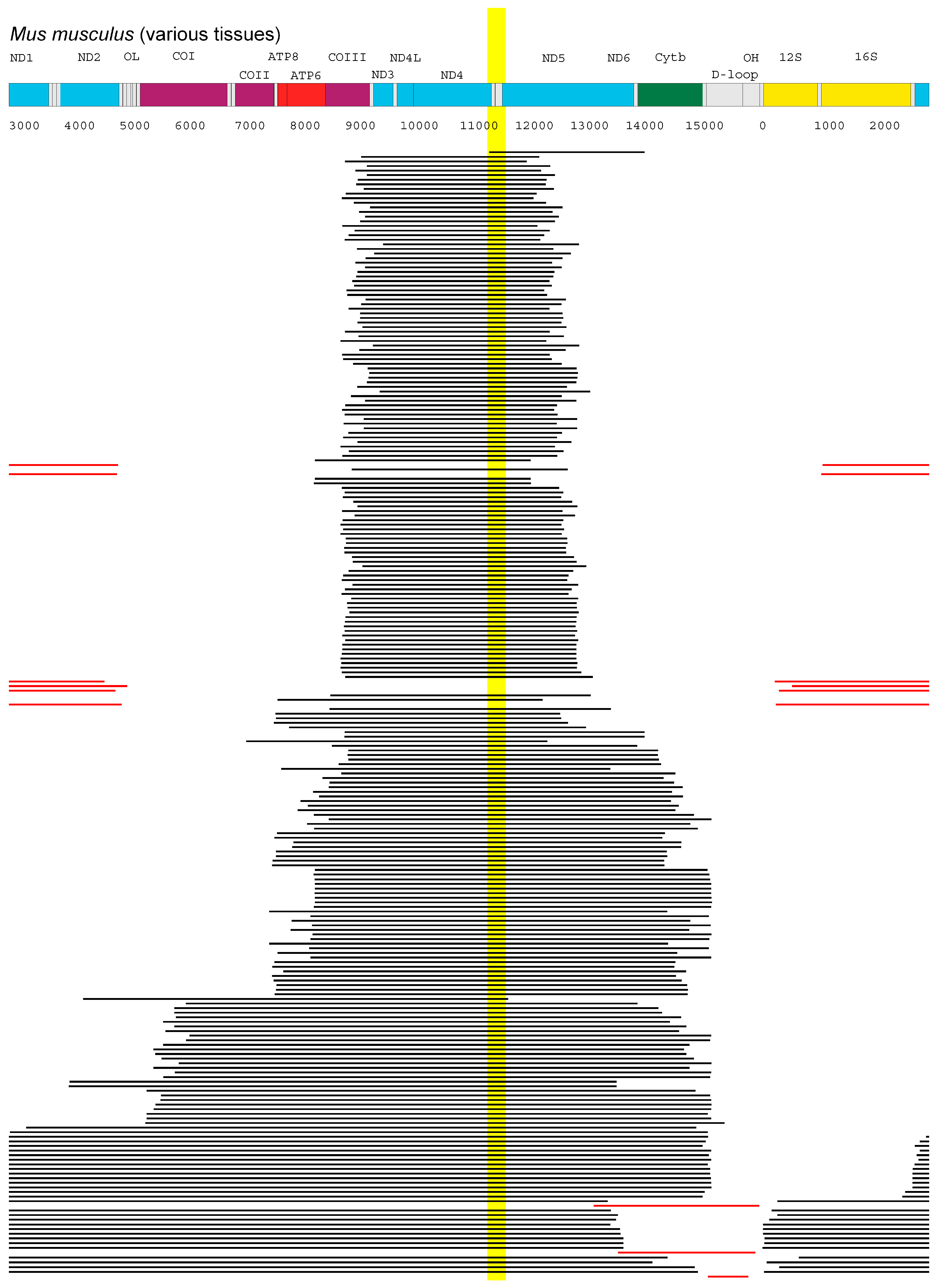 Genes 09 00126 g003 Genes 09 00126 g003