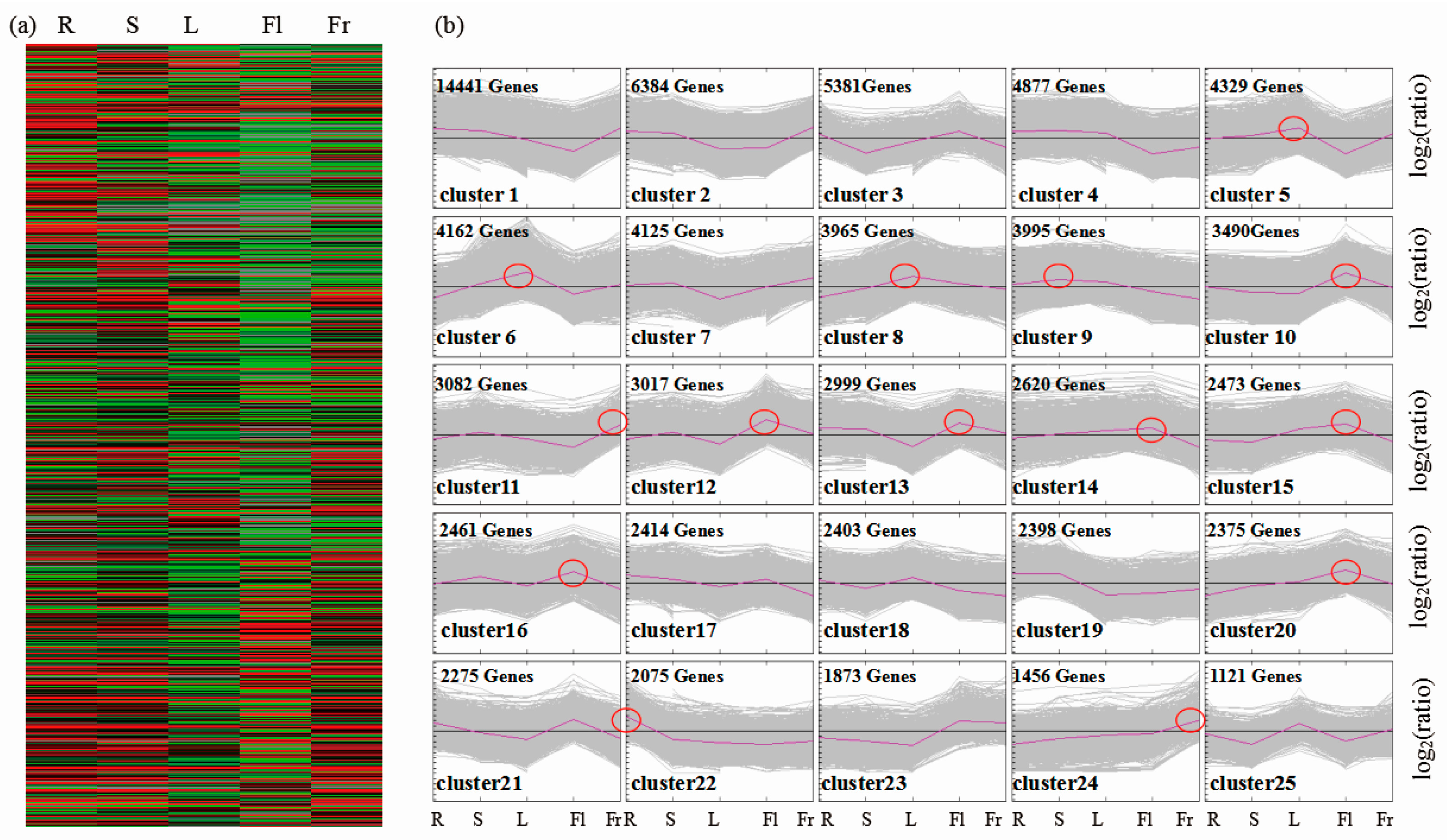 Genes 09 00130 g003 Genes 09 00130 g003