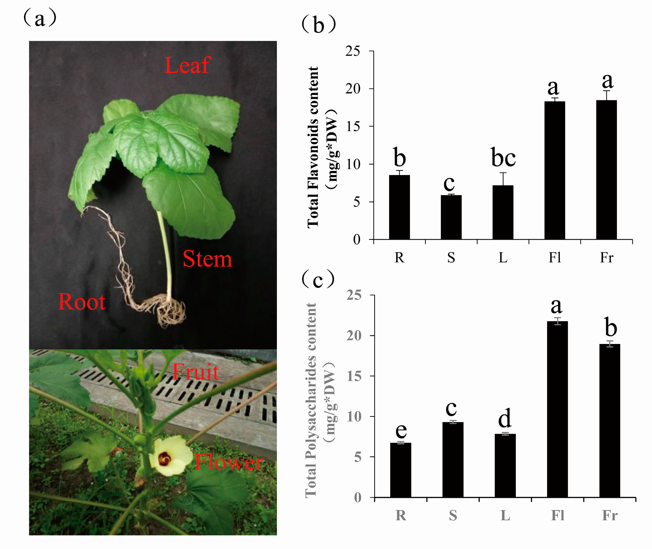 Genes 09 00130 g005 Genes 09 00130 g005