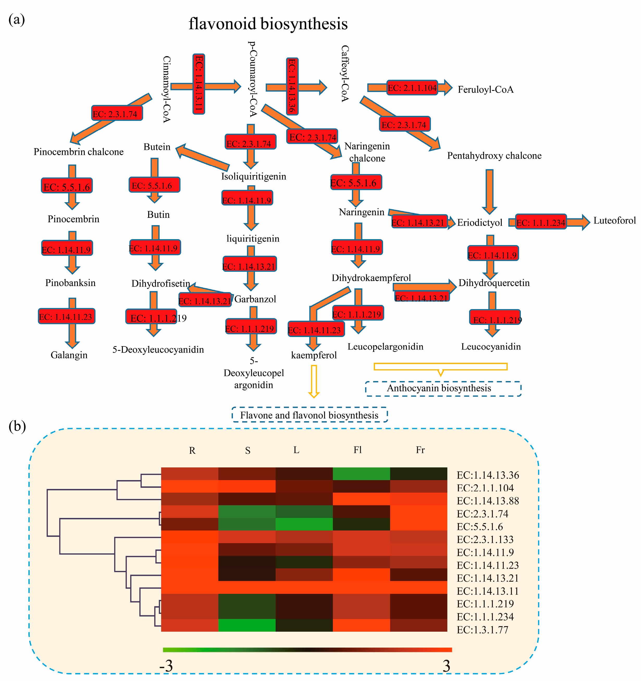 Genes 09 00130 g006 Genes 09 00130 g006