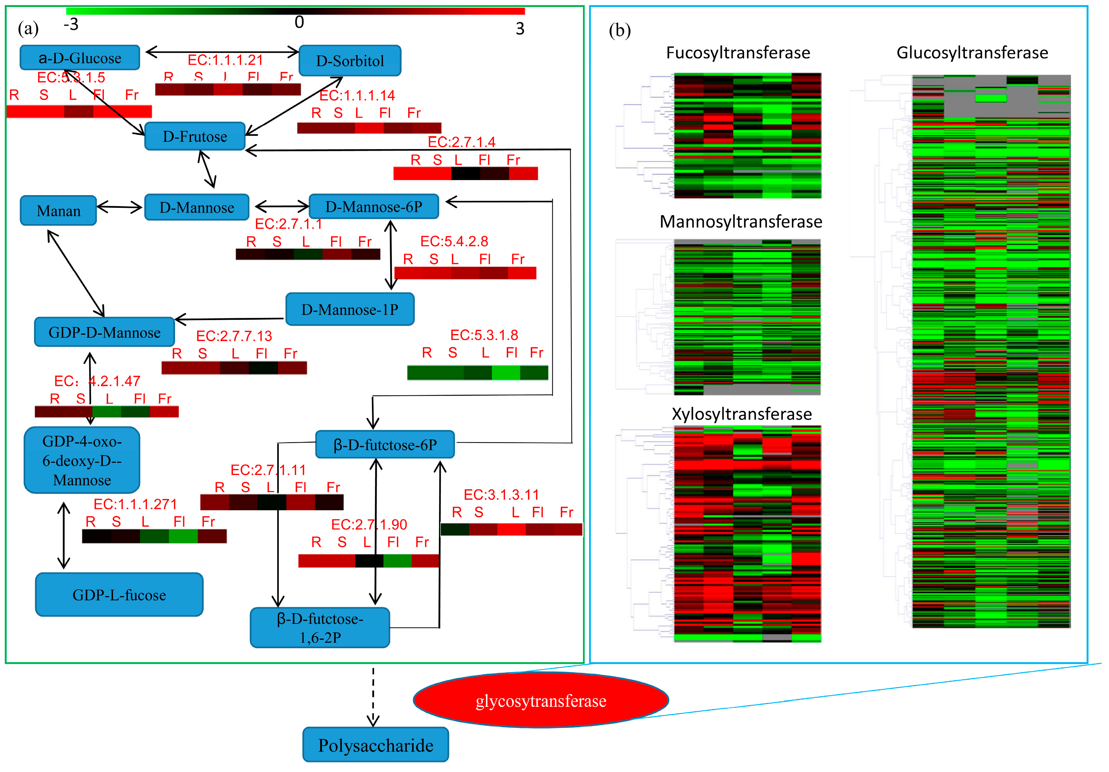 Genes 09 00130 g007 Genes 09 00130 g007
