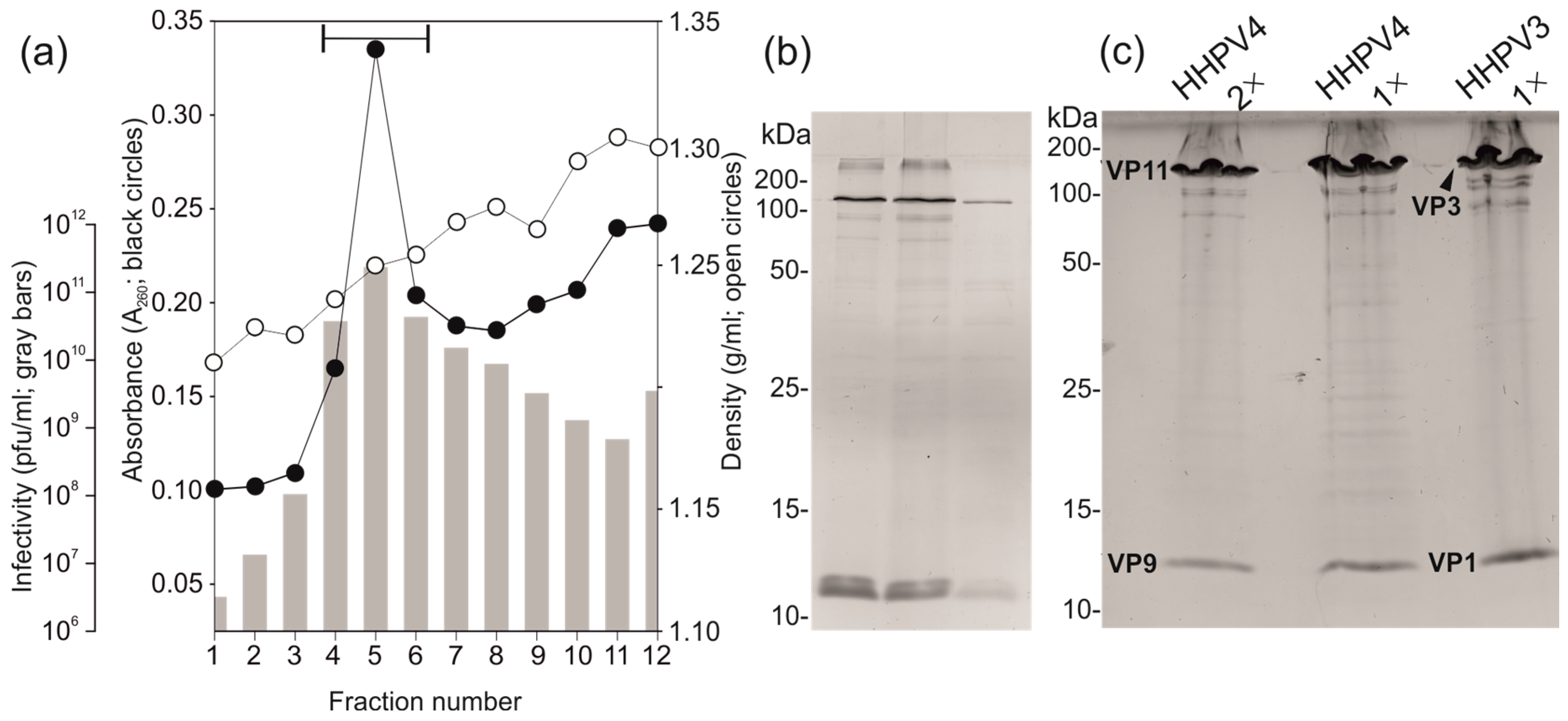 Genes 09 00131 g003 Genes 09 00131 g003
