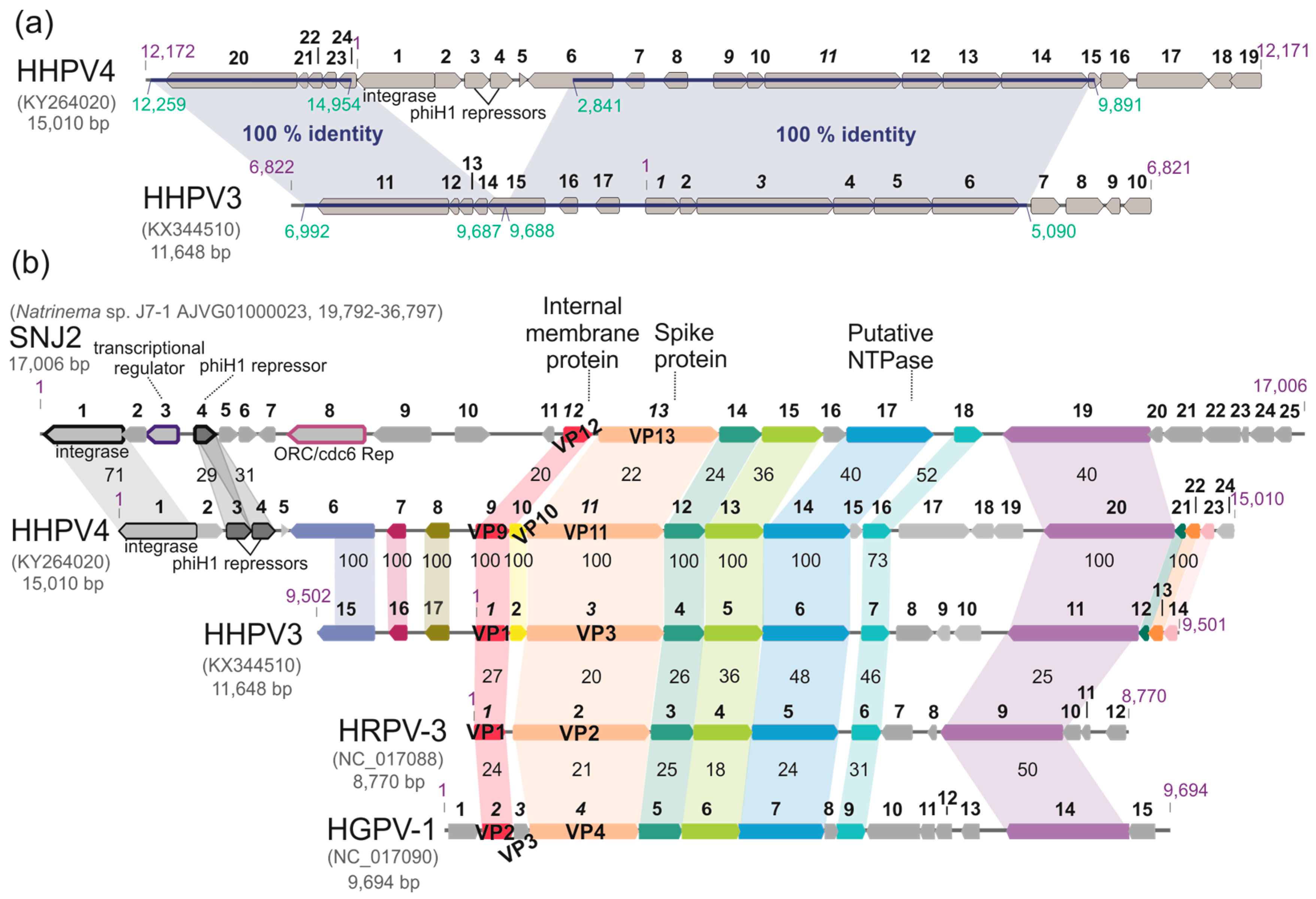 Genes 09 00131 g005 Genes 09 00131 g005