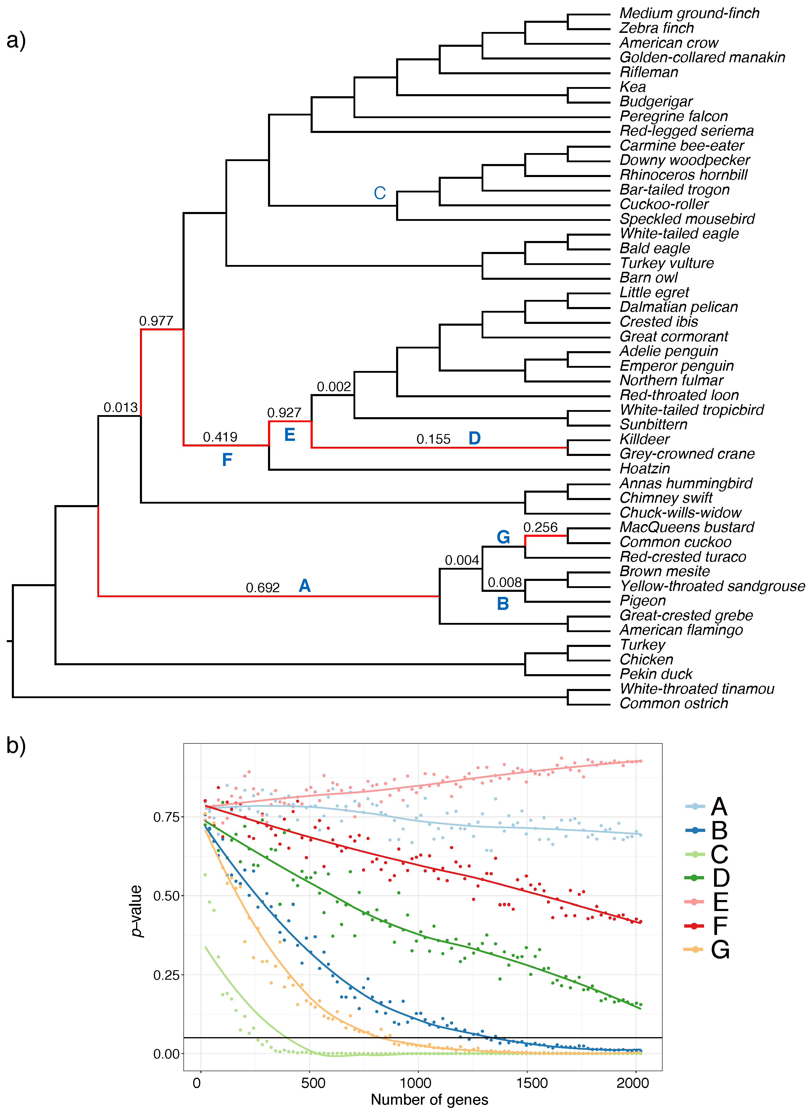 concept of phylogenetic tree