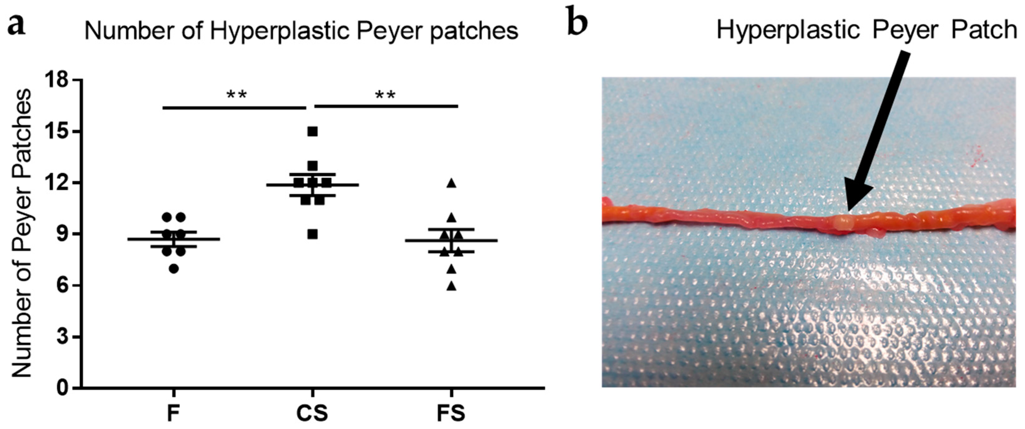 Genes 09 00133 g002 Genes 09 00133 g002