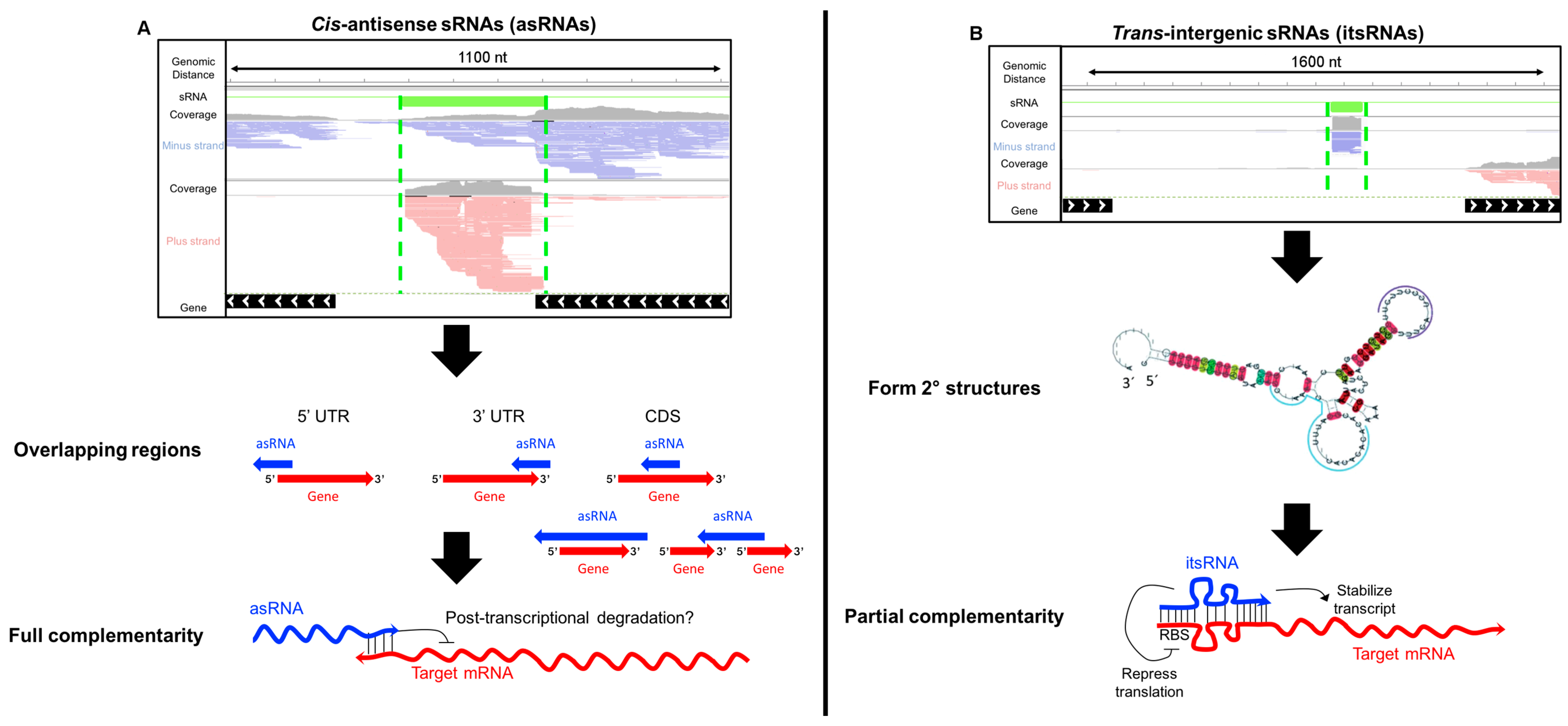 Genes 09 00141 g001 Genes 09 00141 g001